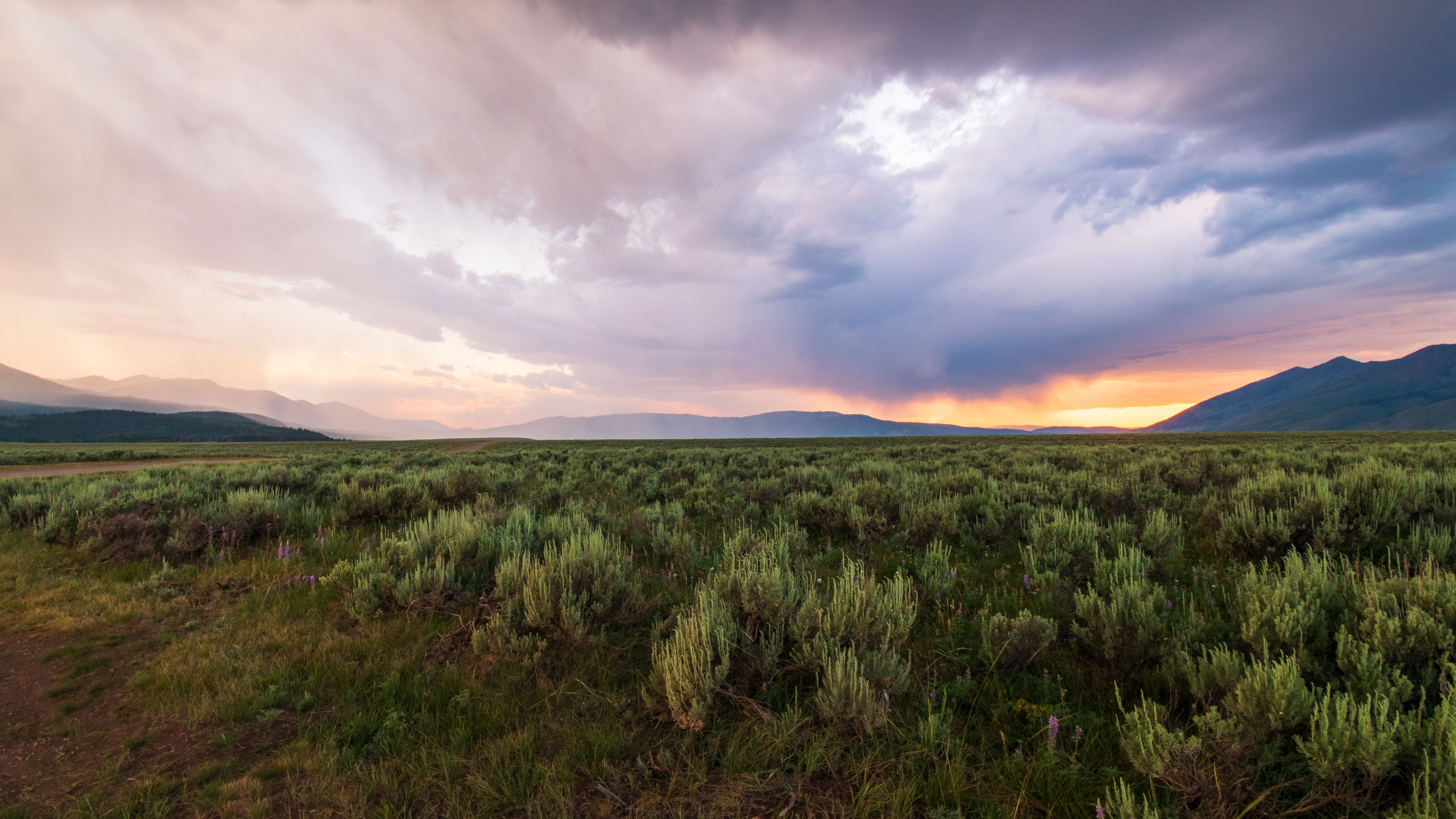 wyoming landscape