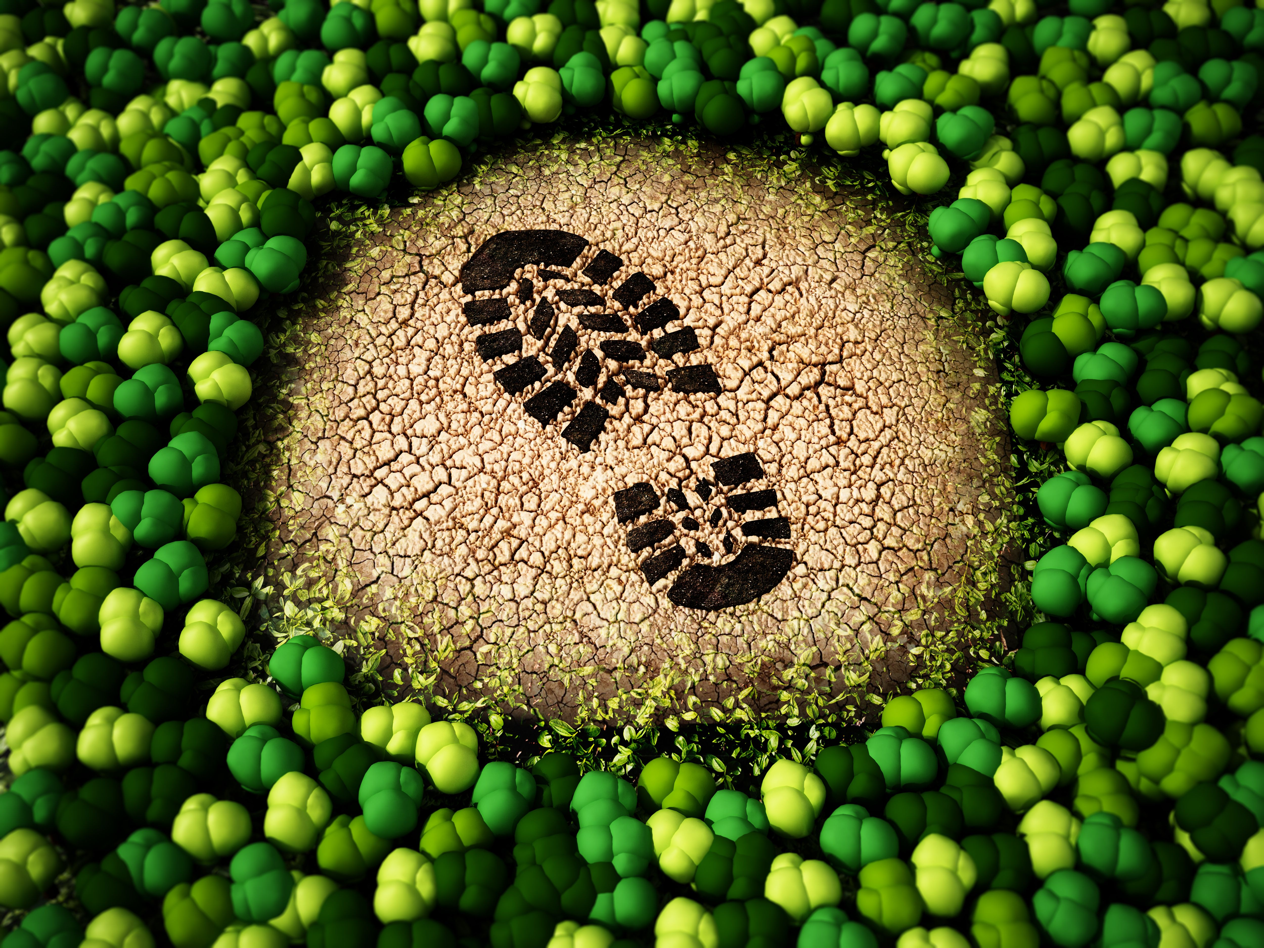 positive digital footprint