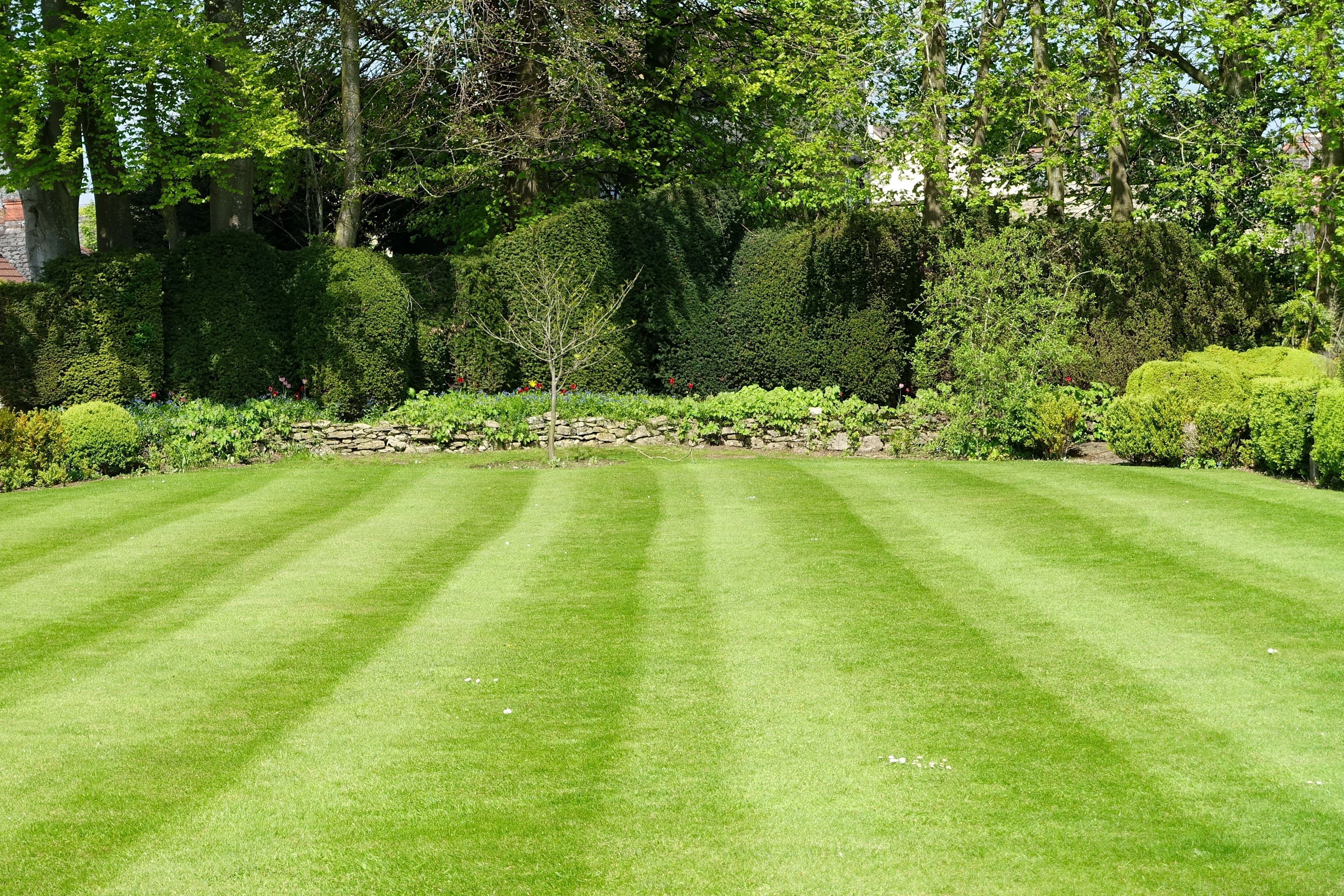 lawn maintenance cost