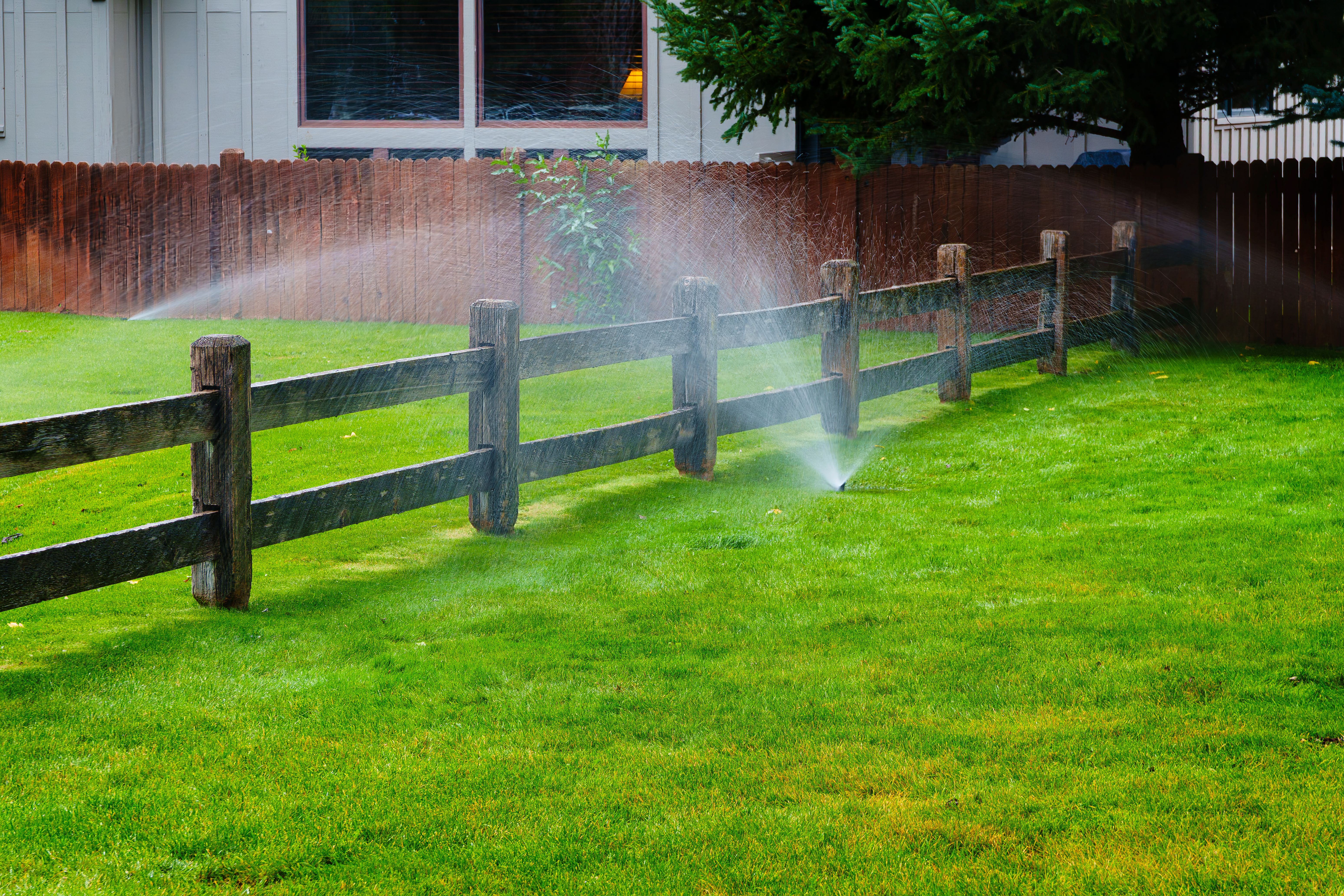 watering lawn summer