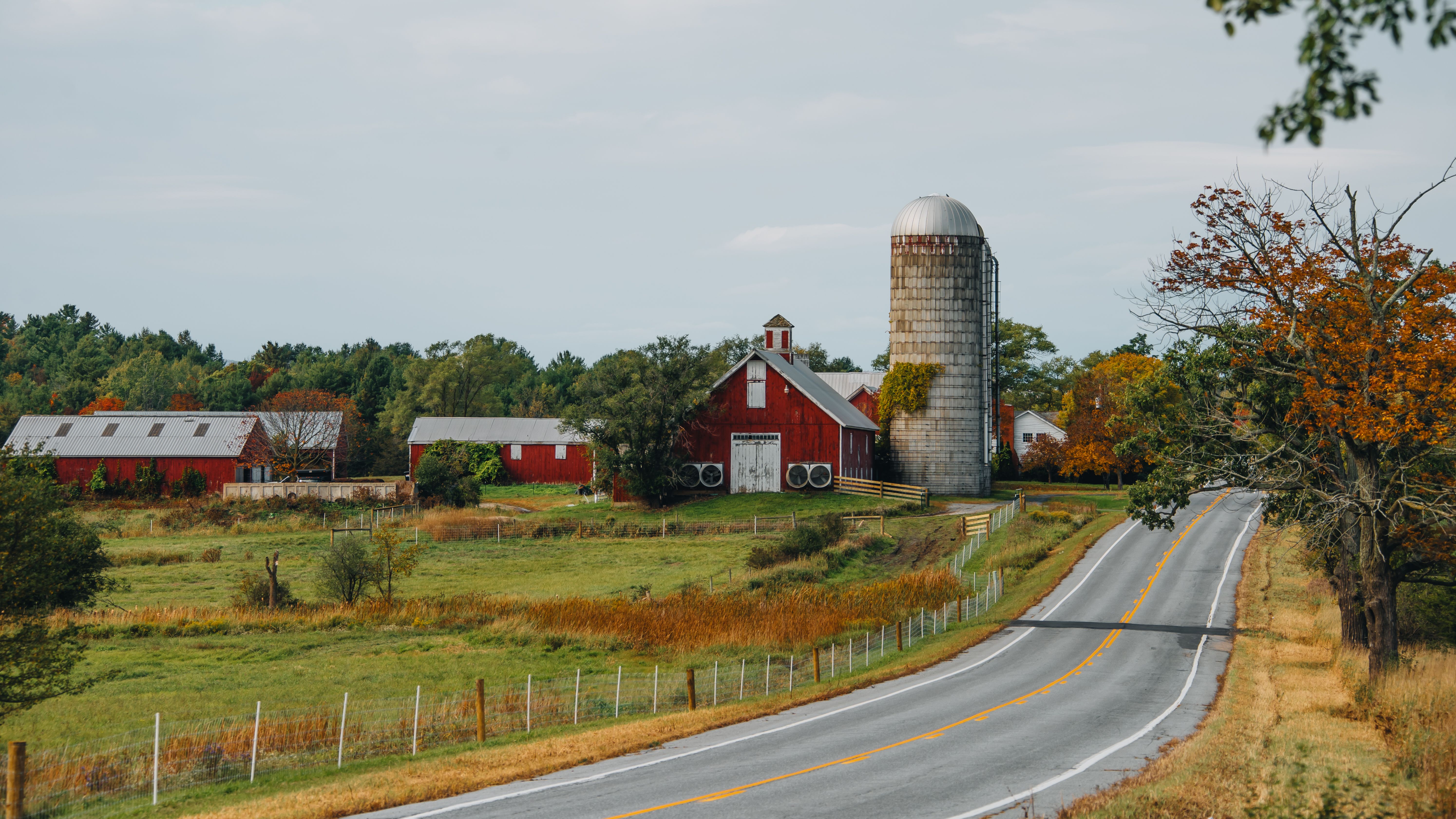 local farm tour