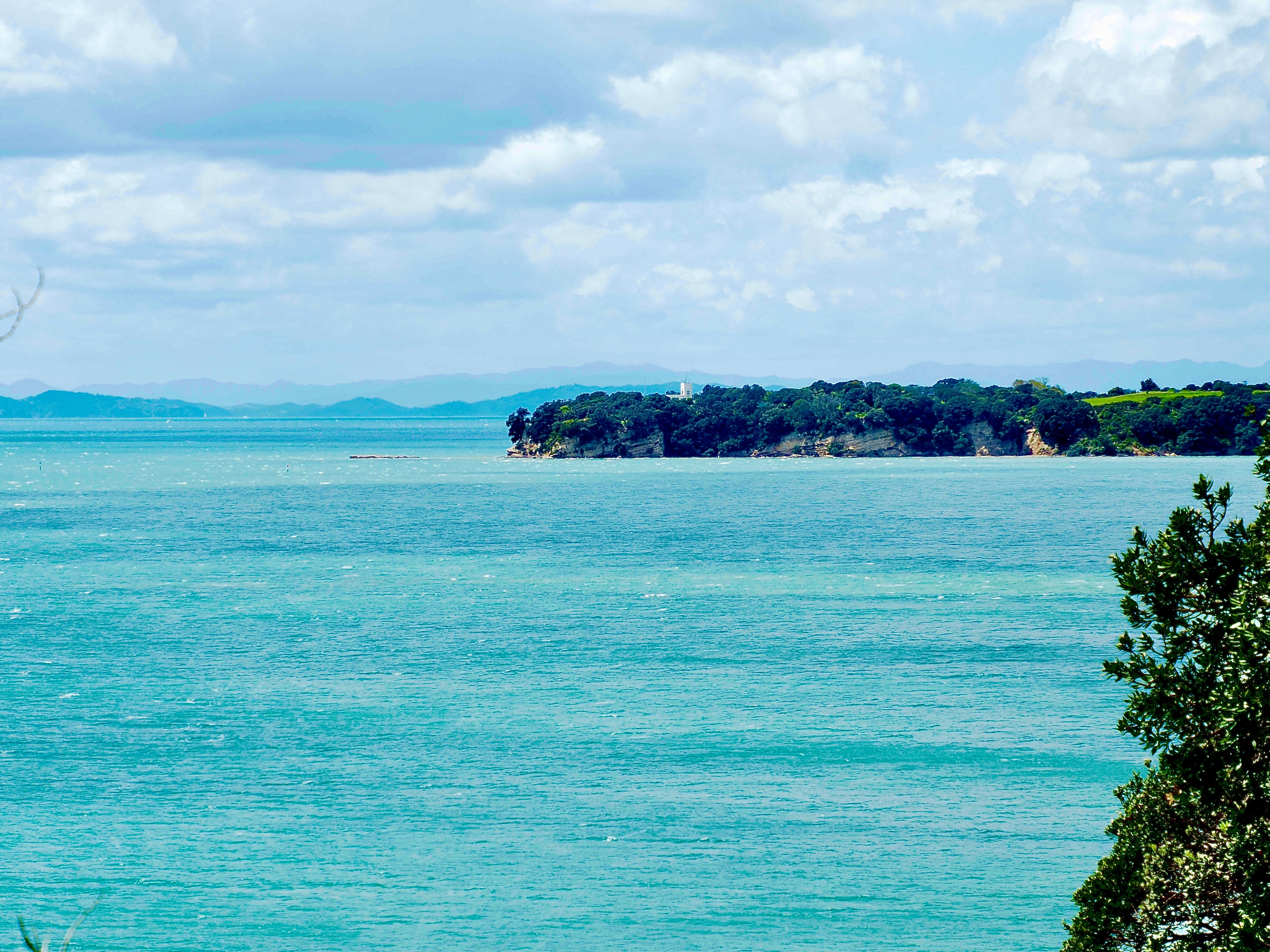 auckland beach