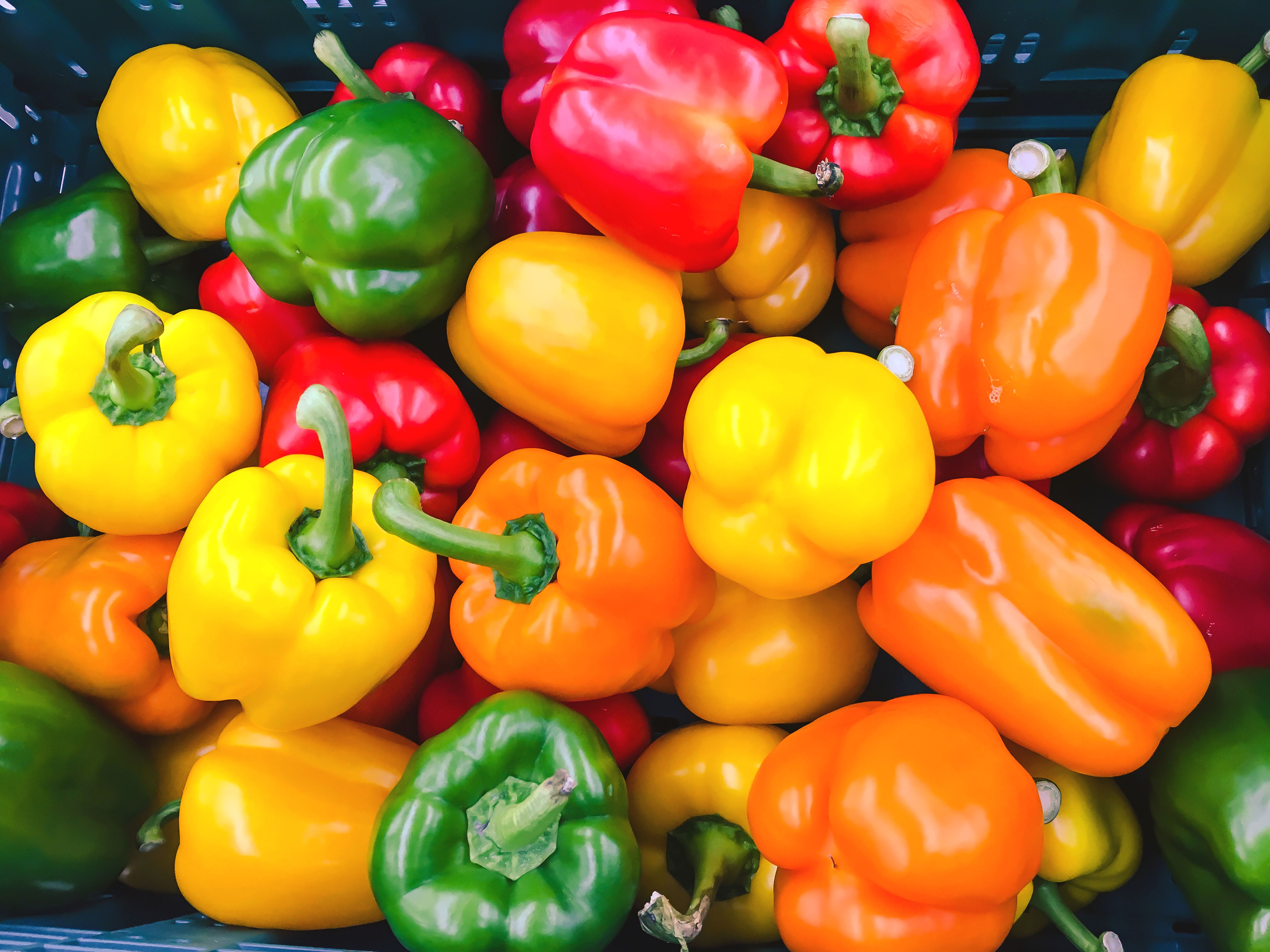 paprika varieties