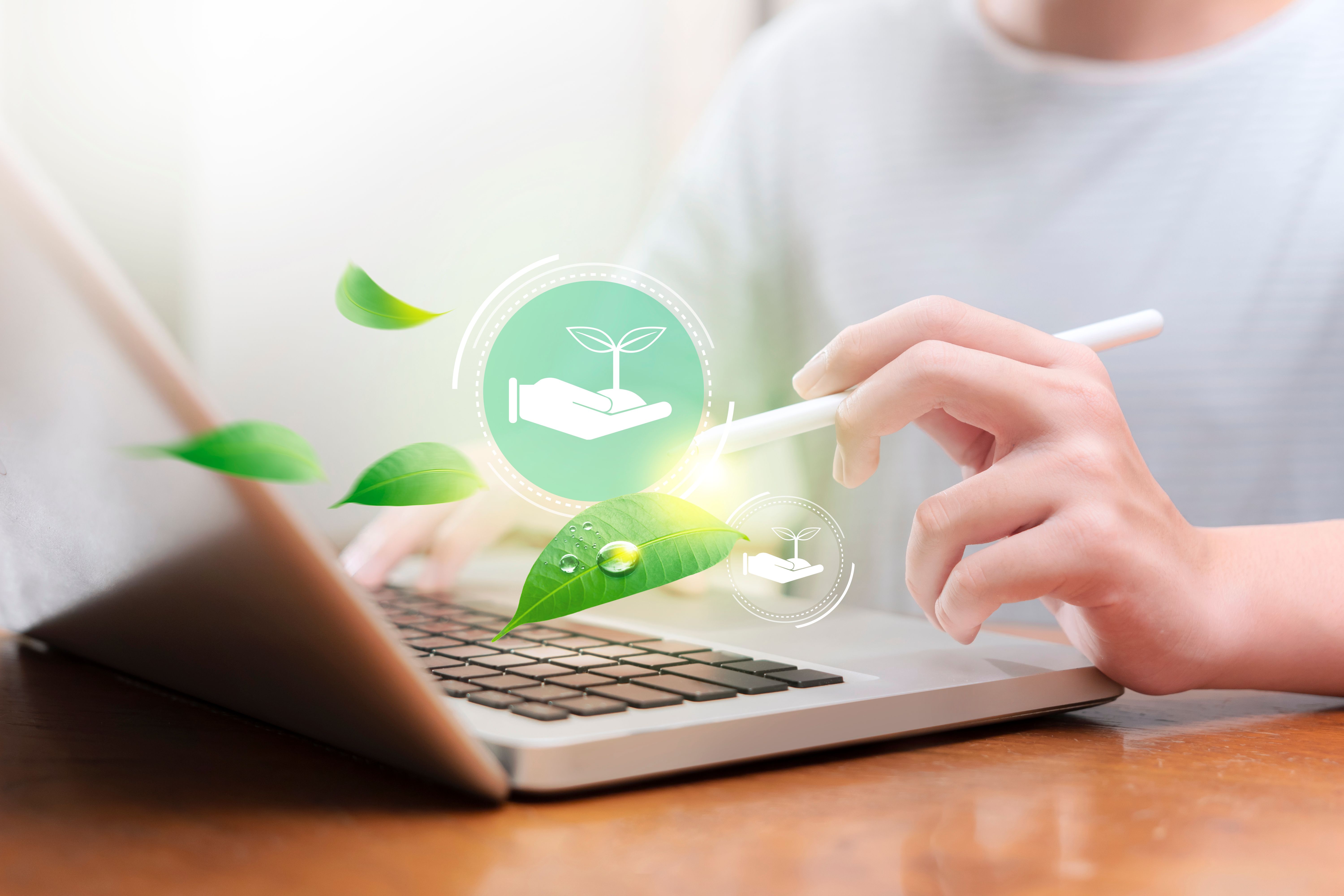 ัteenage boy designs a sustainable world by introducing the idea of planting forests to reduce greenhouse gas pollution with technology to simulate imagination.