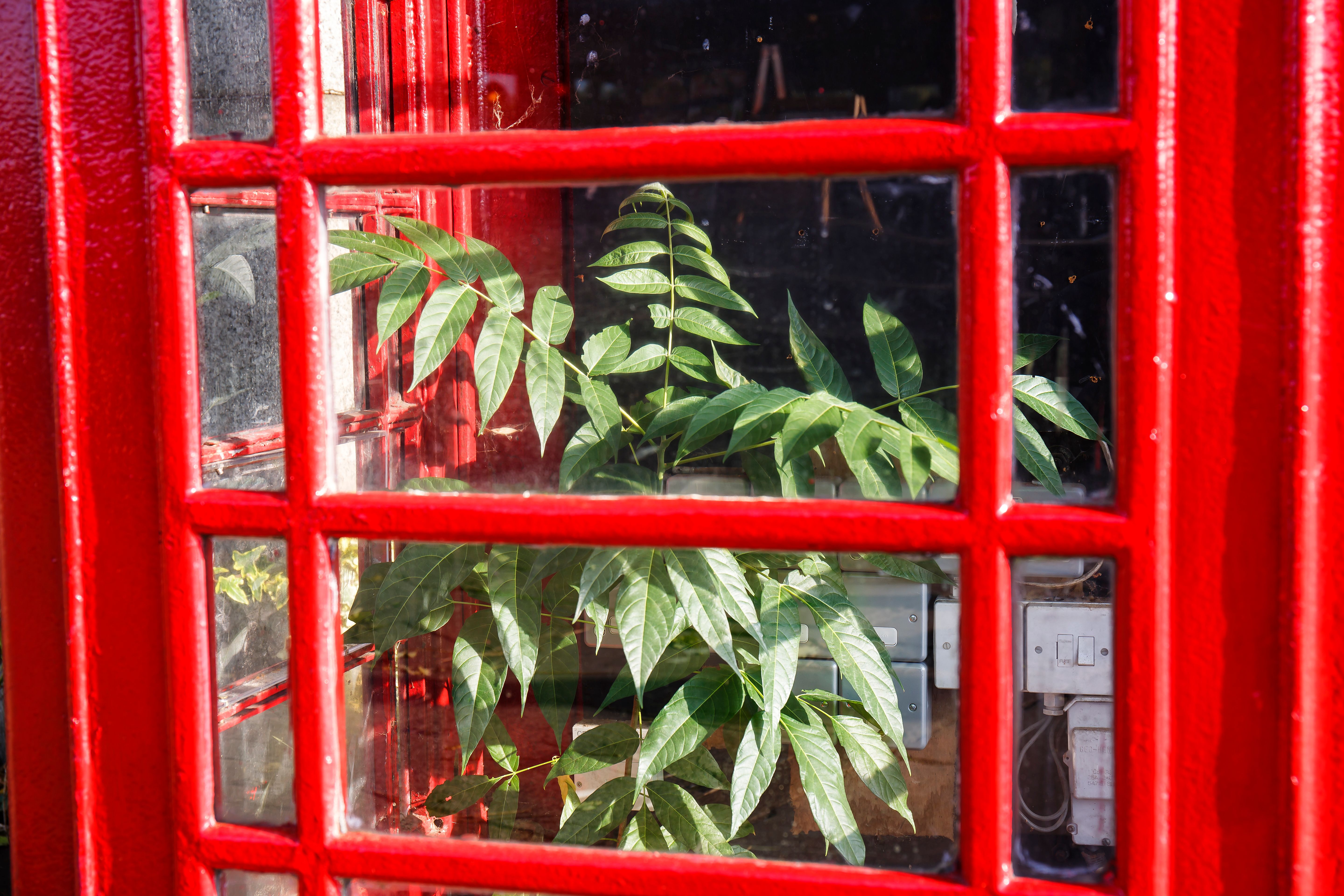 eco friendly photobooth