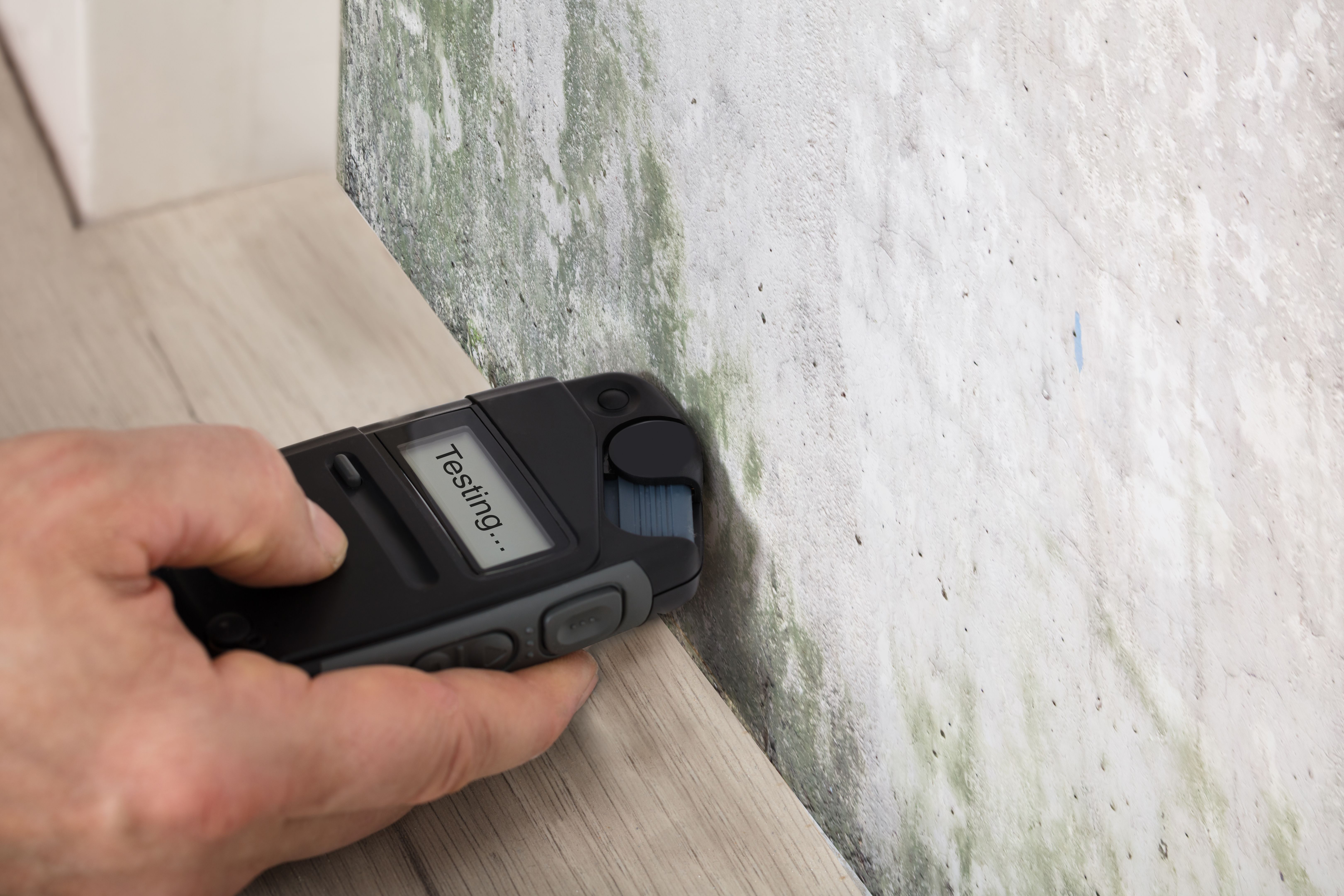 wall assessment