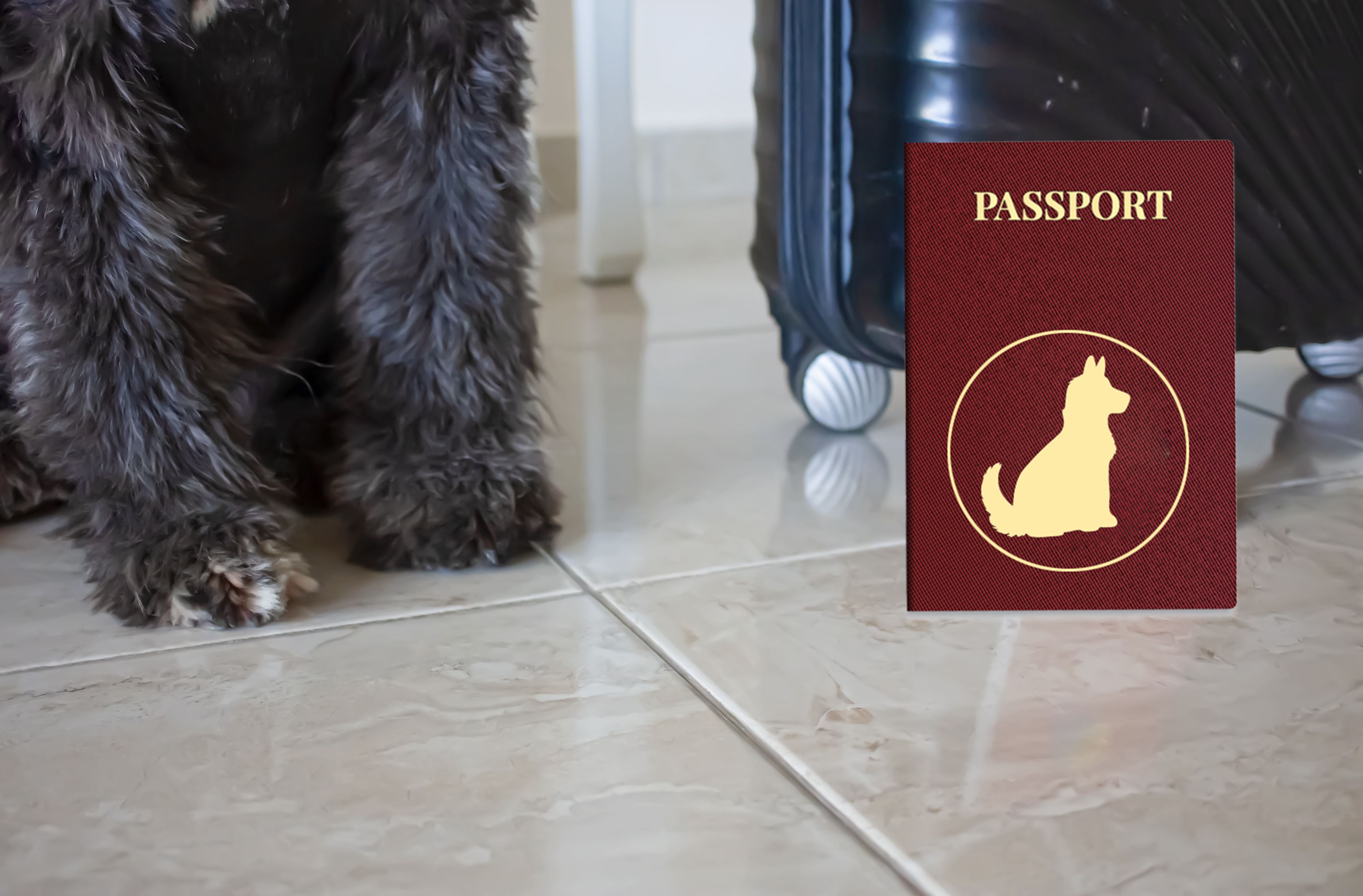 pet passport