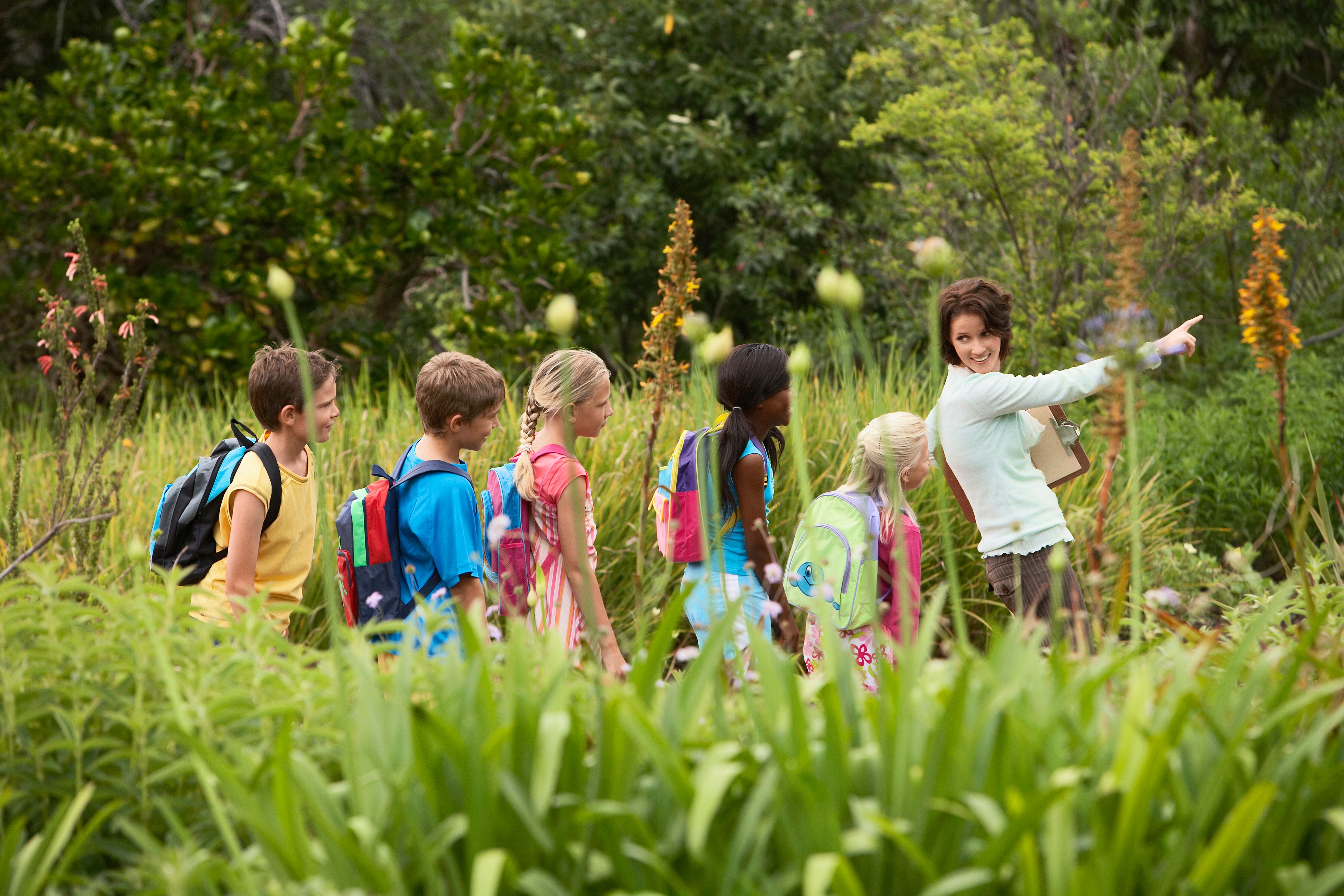 children nature school