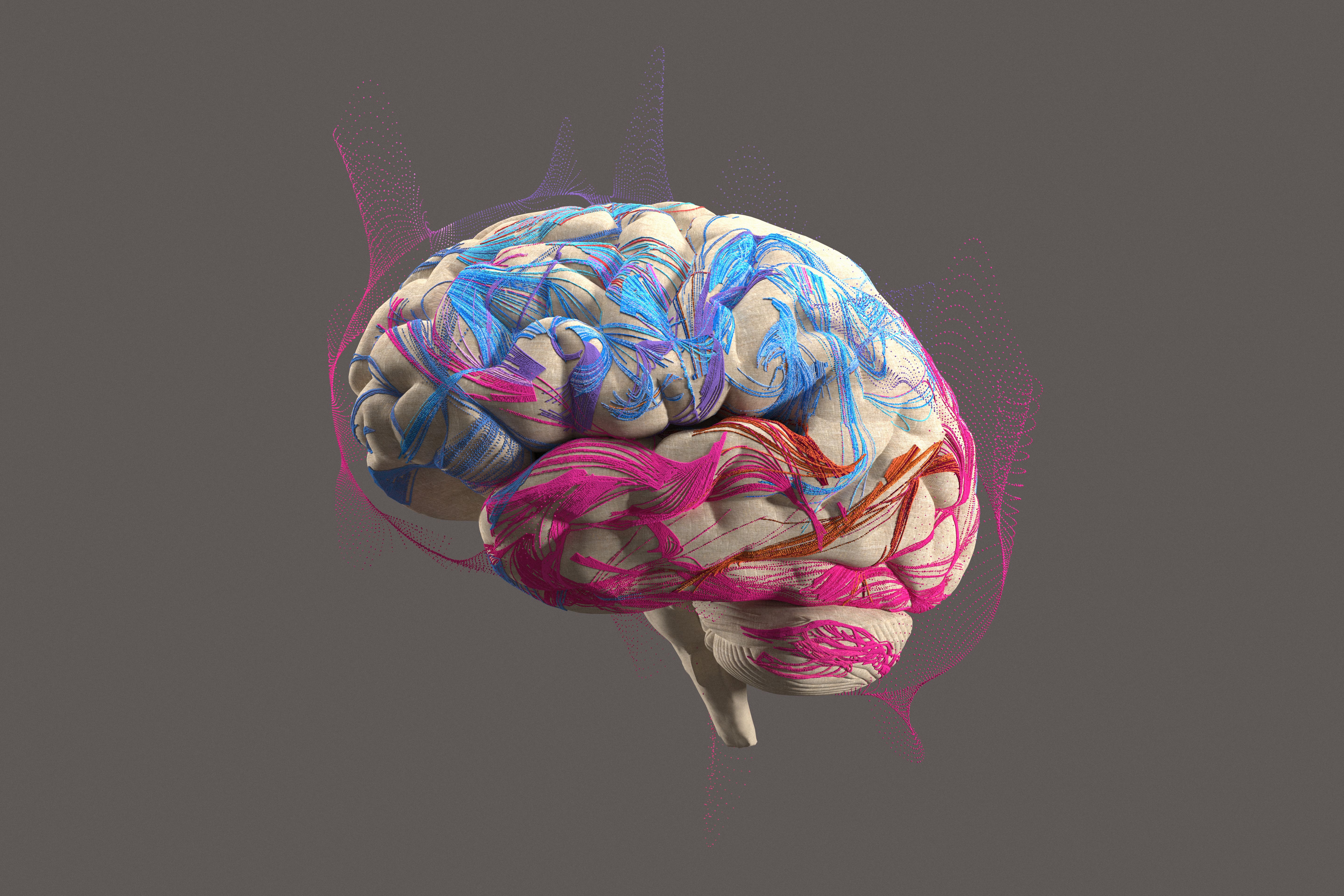 brain illustration