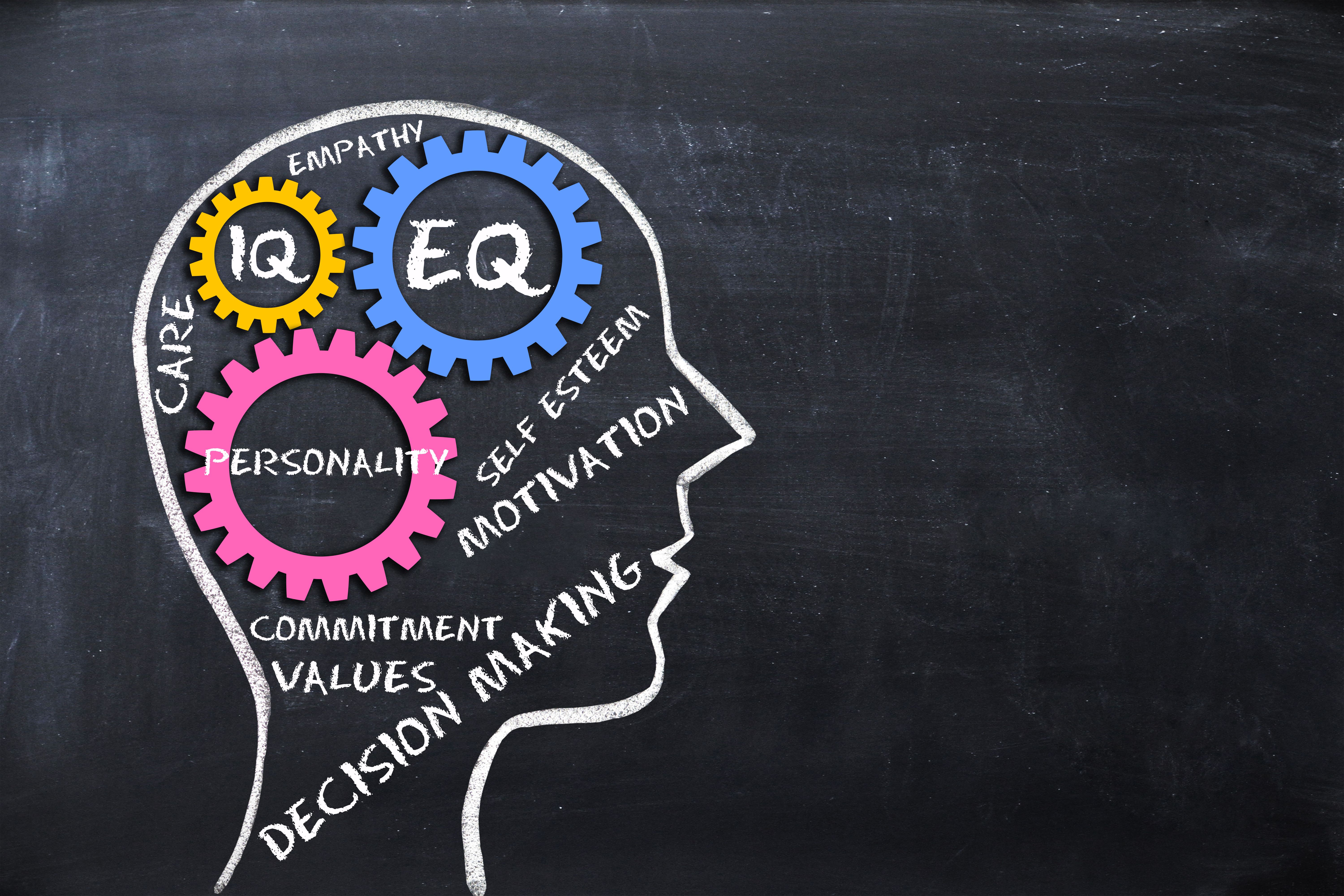 emotional intelligence training