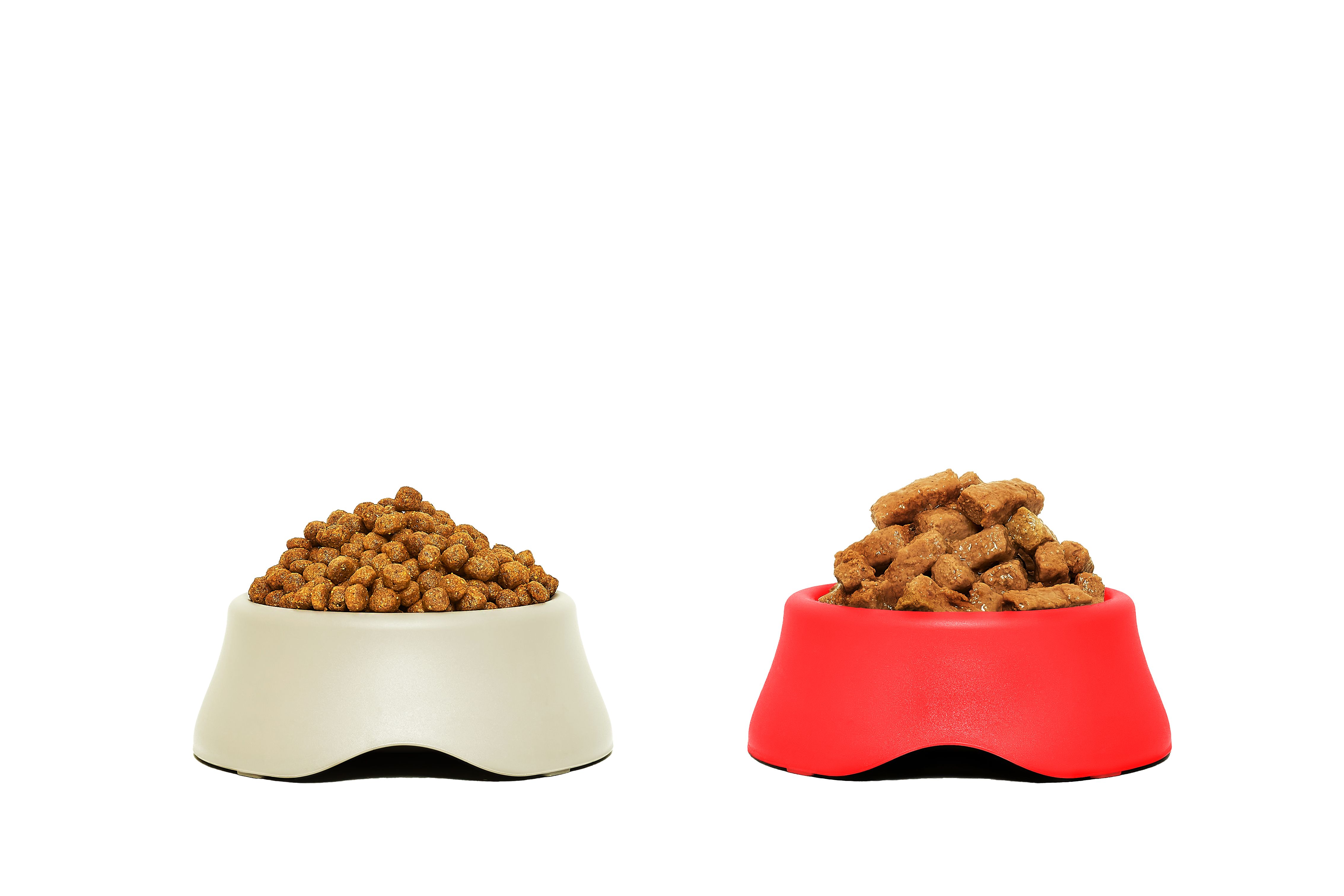 dog kibble