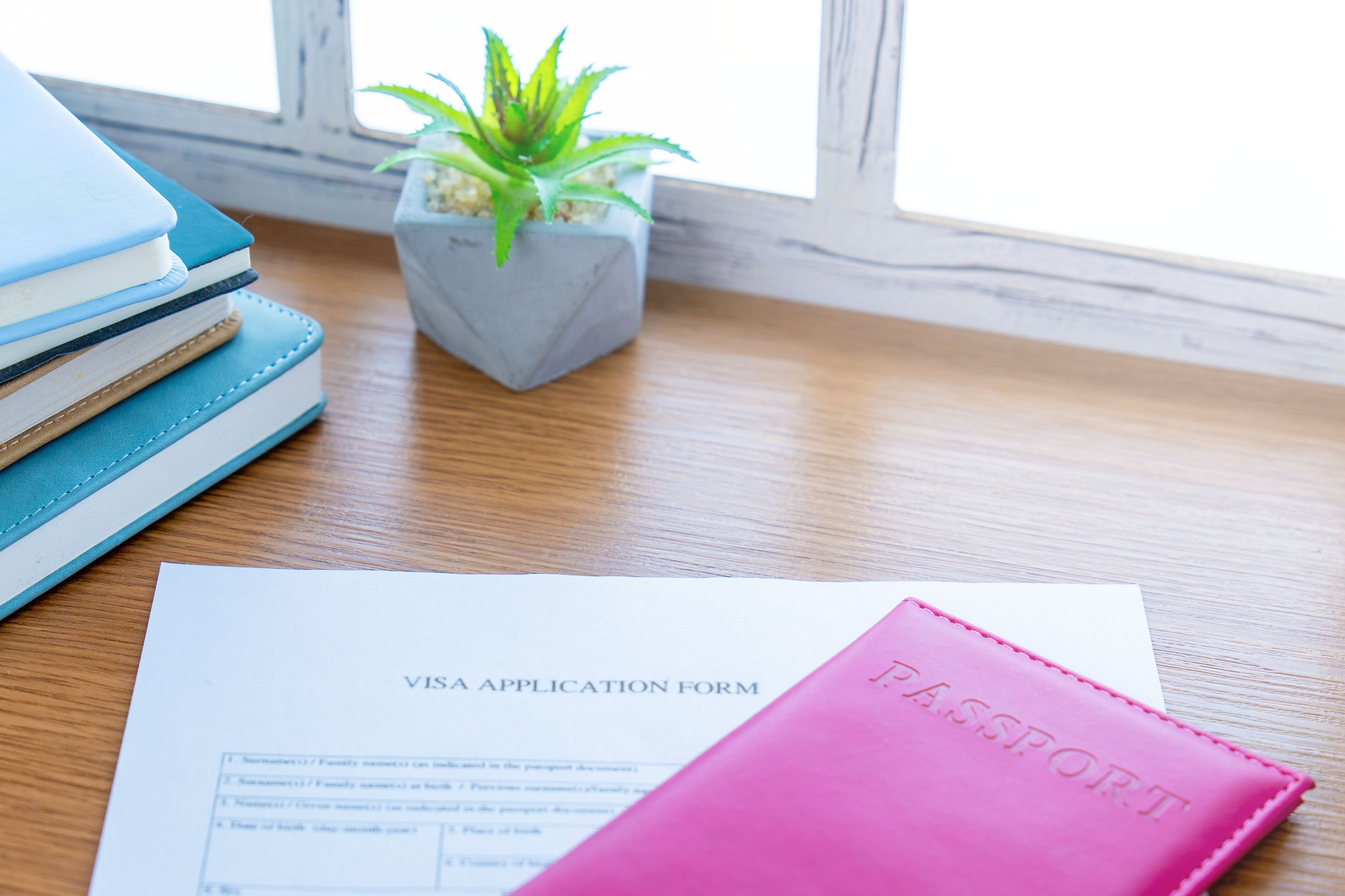 visa application process