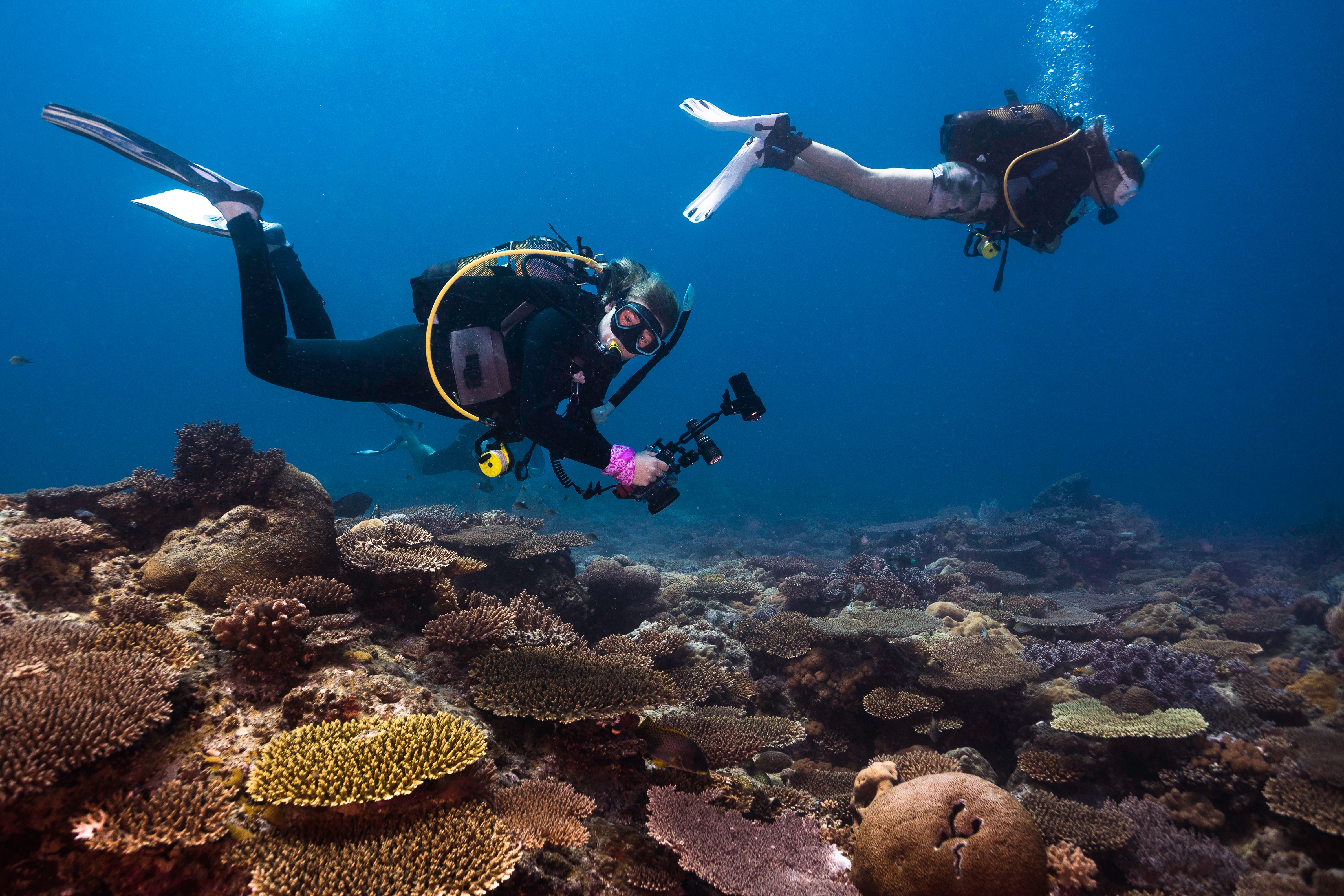 scuba diving Madagascar