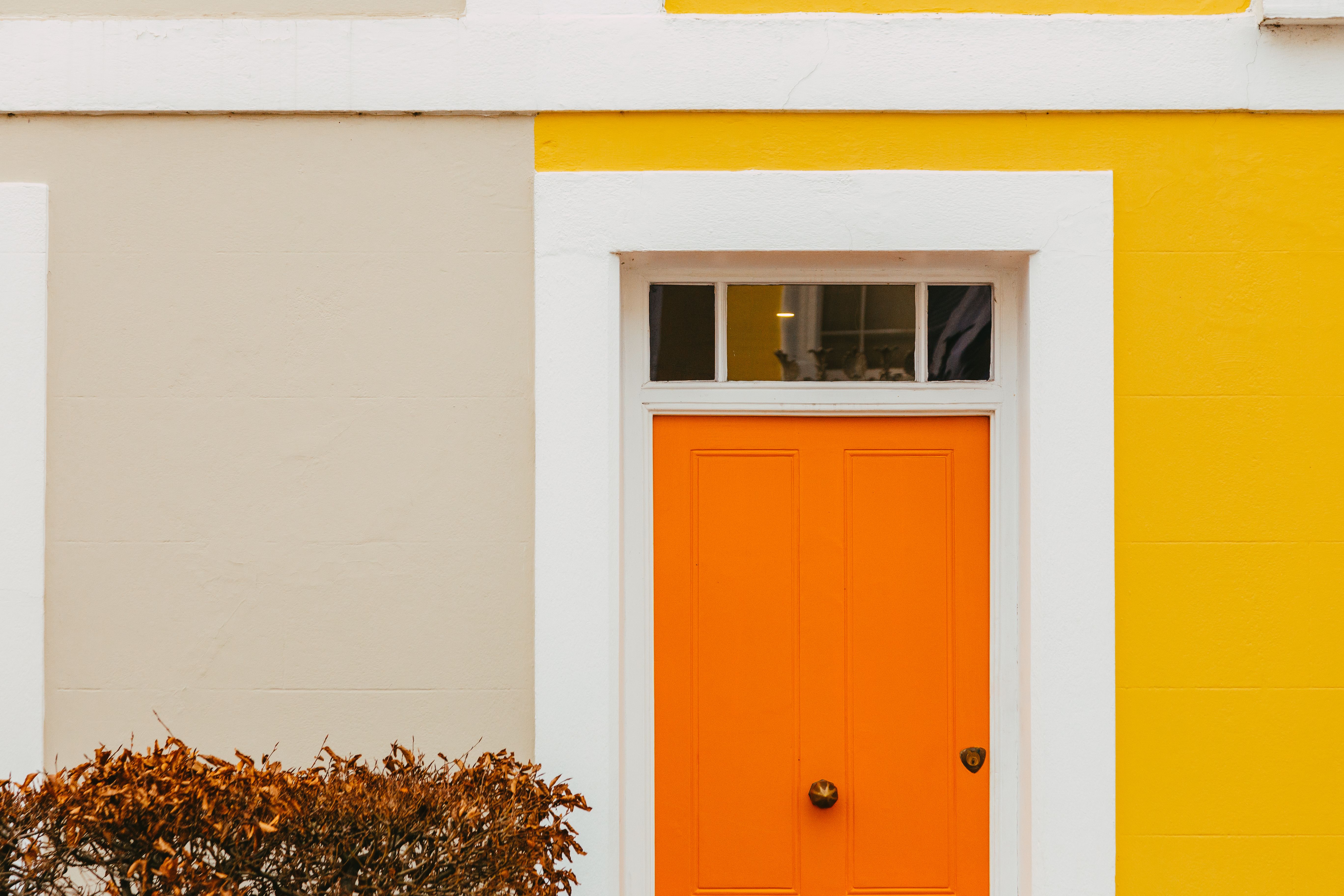 colorful house doors