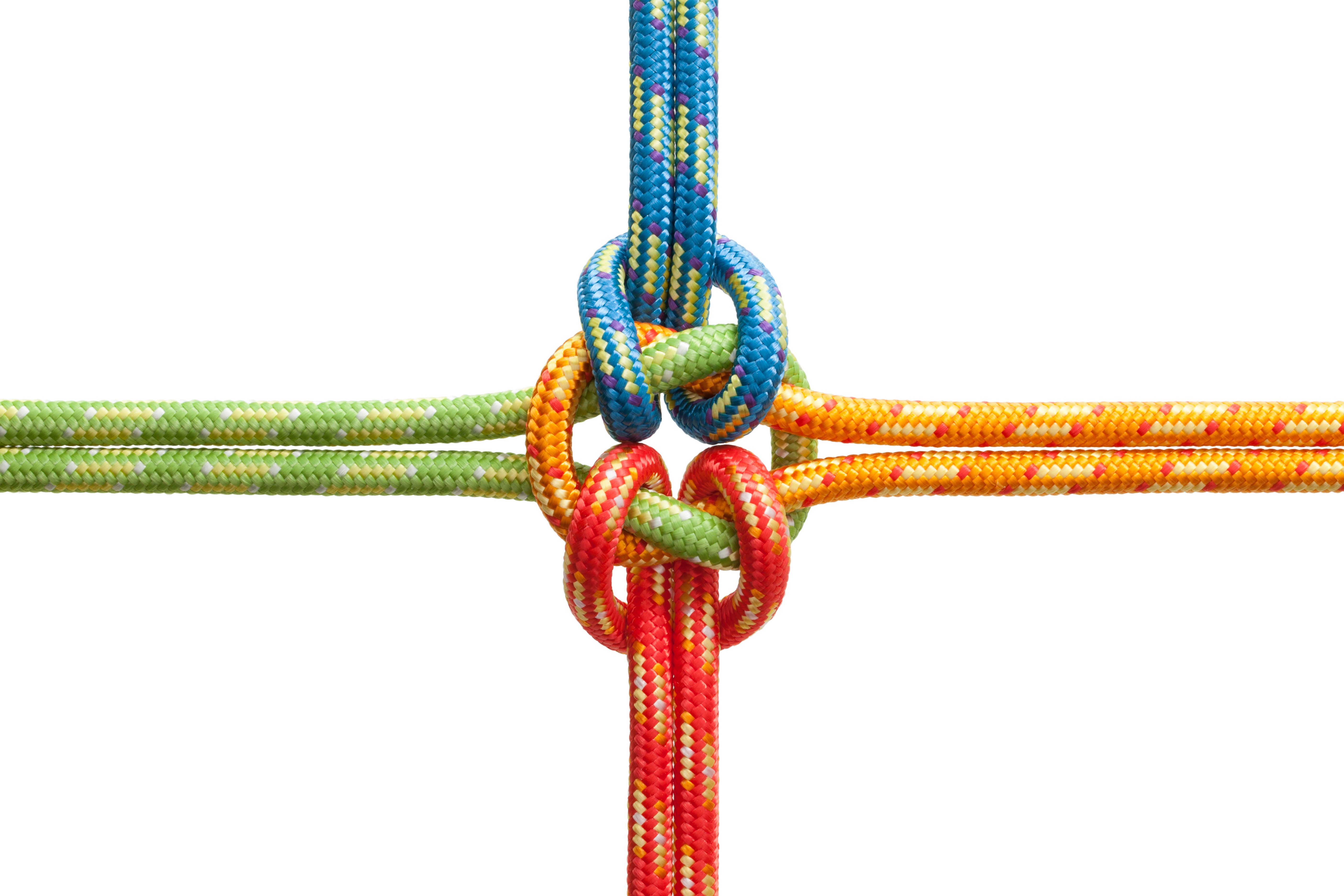 Colored ropes tied into a knot