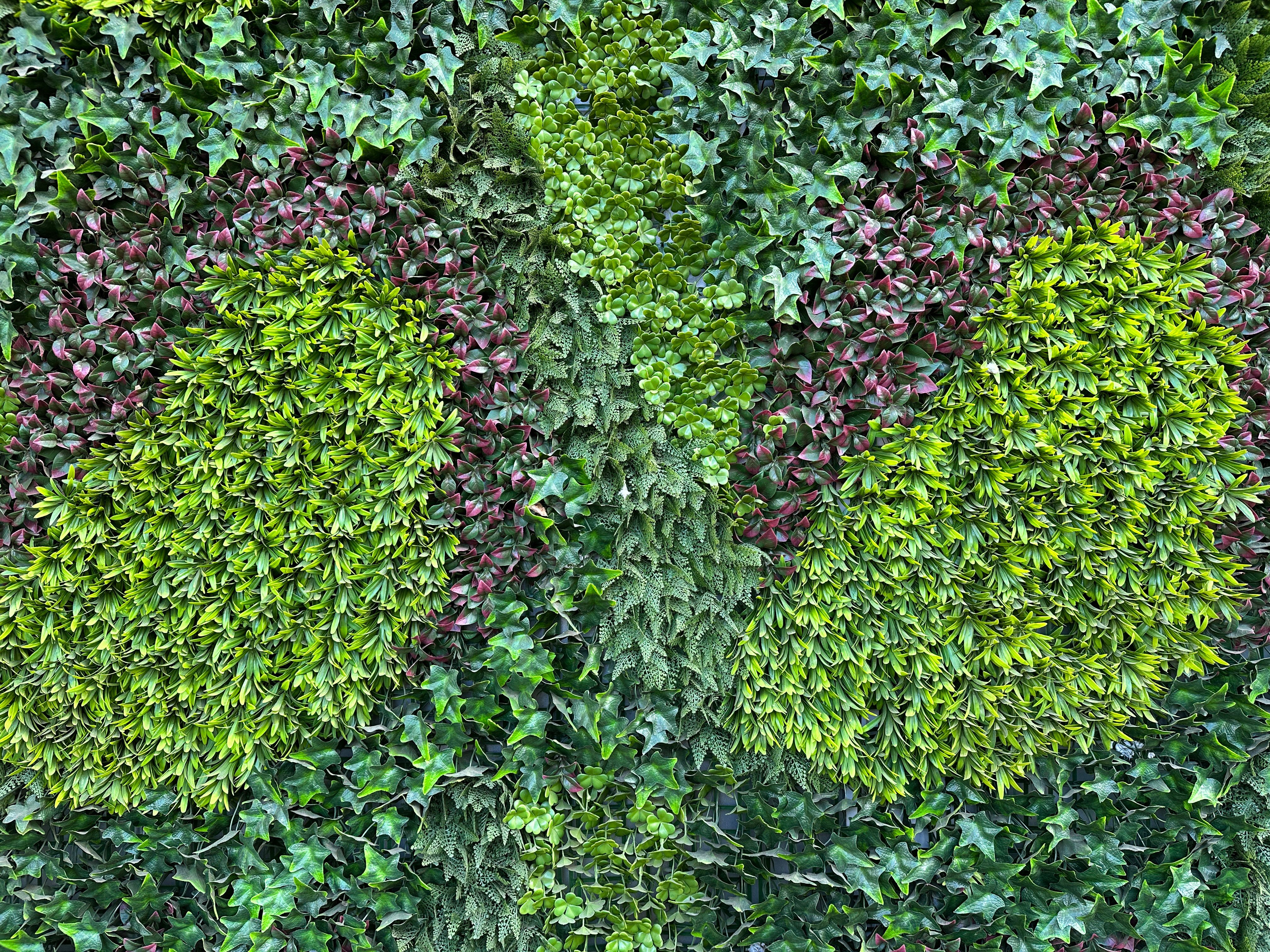 Muro di un edificio ricoperto di piante artificiali Muro di un edificio ricoperto di piante artificiali