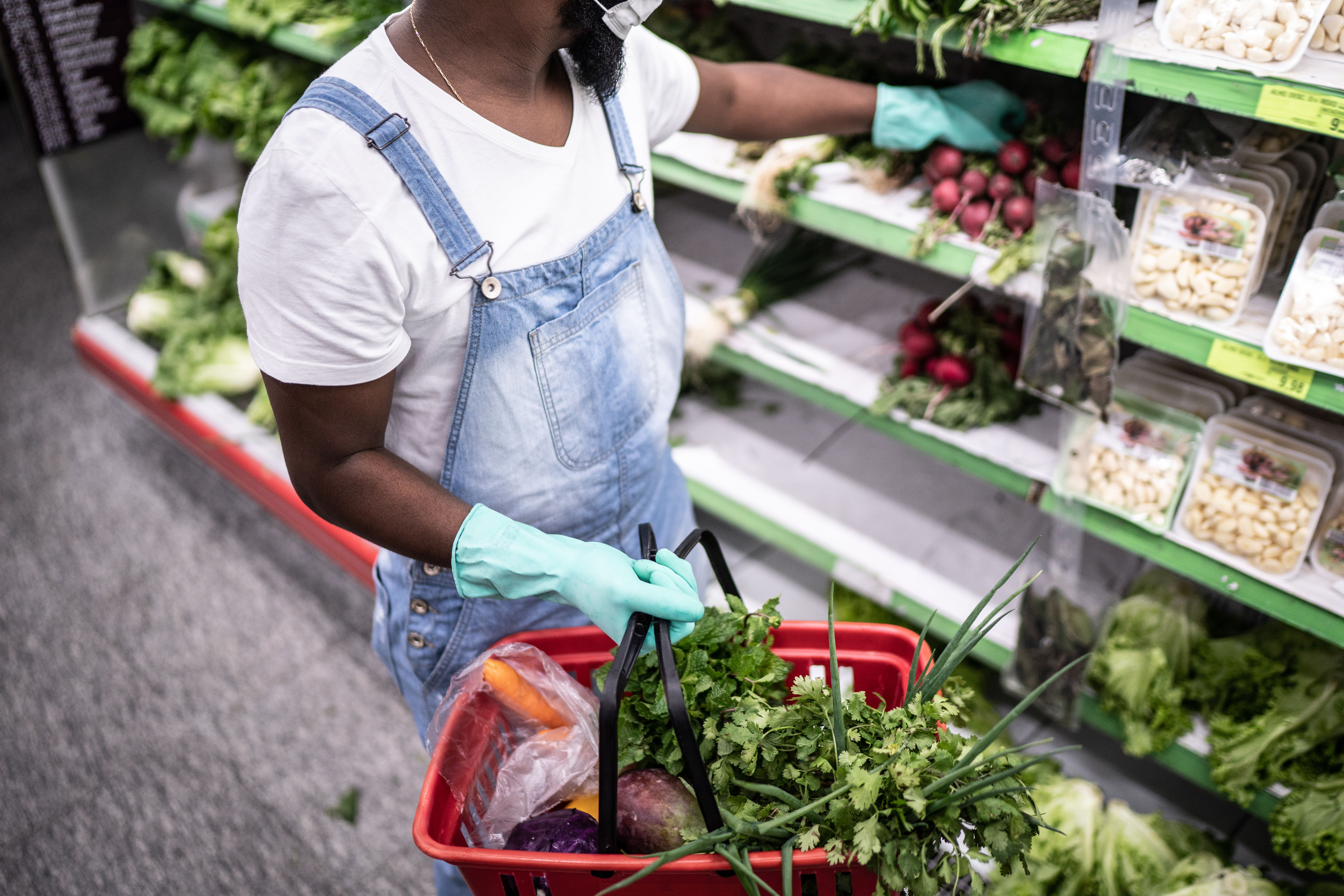 choosing pest control