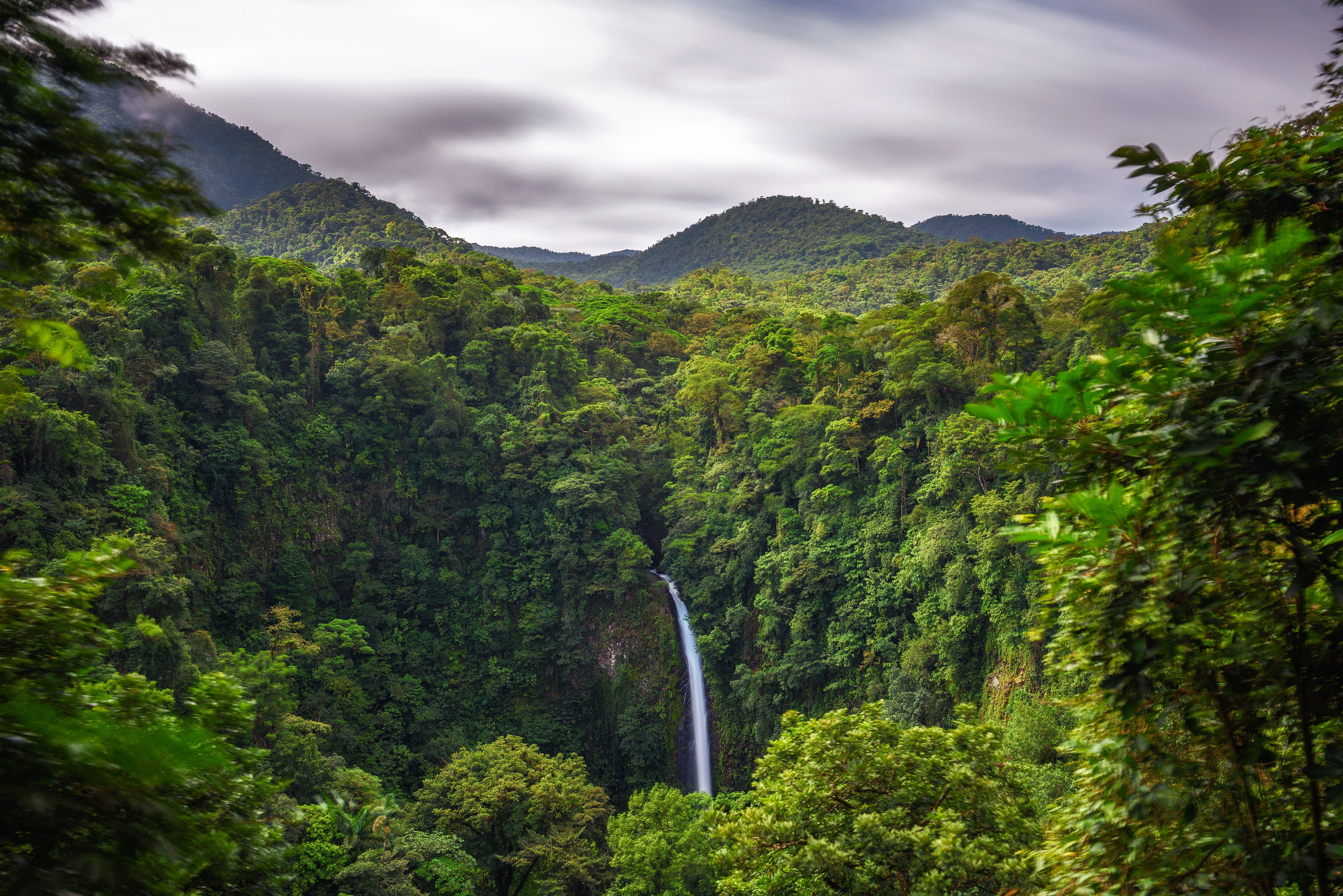 la fortuna rainforest