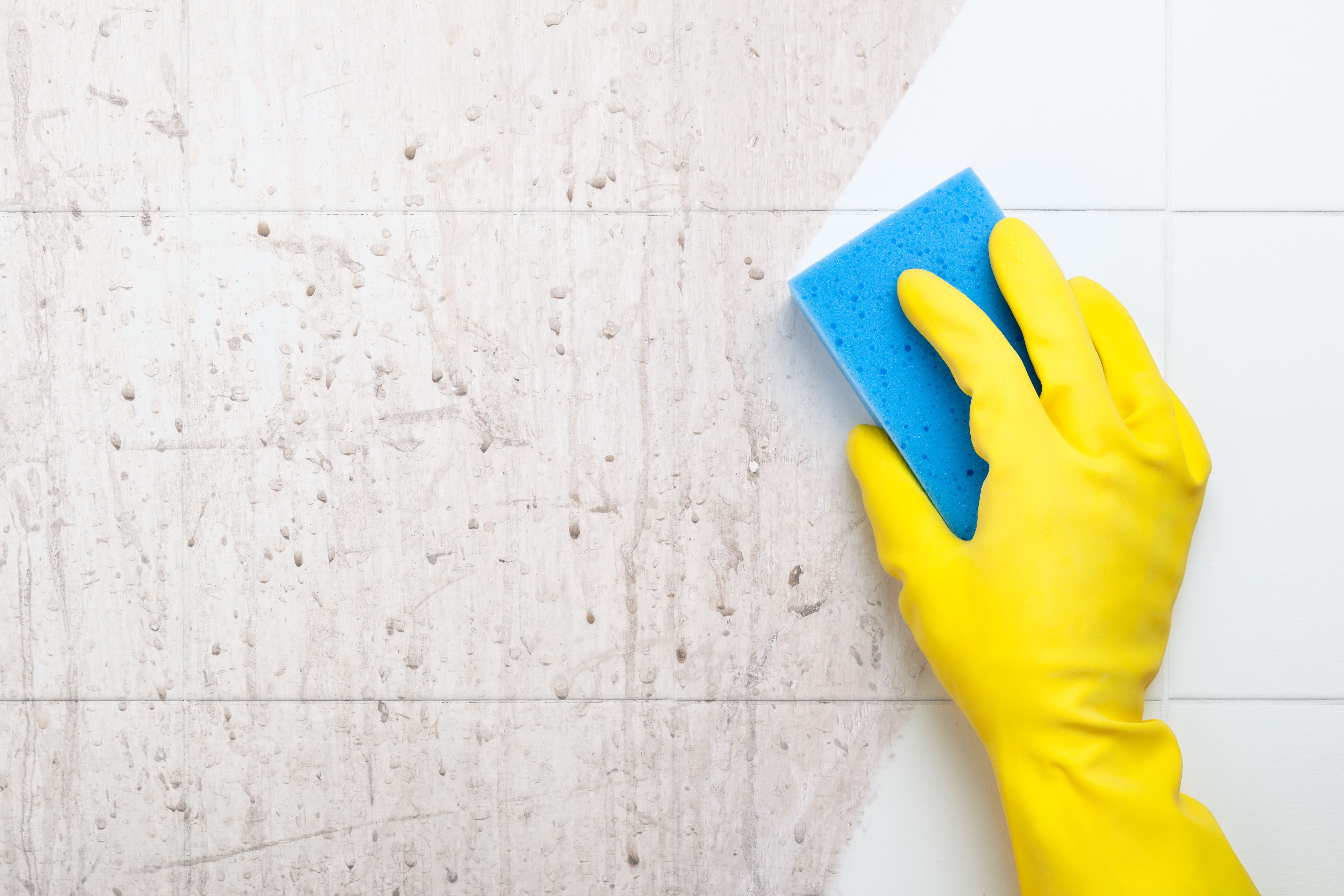 bathroom cleaning