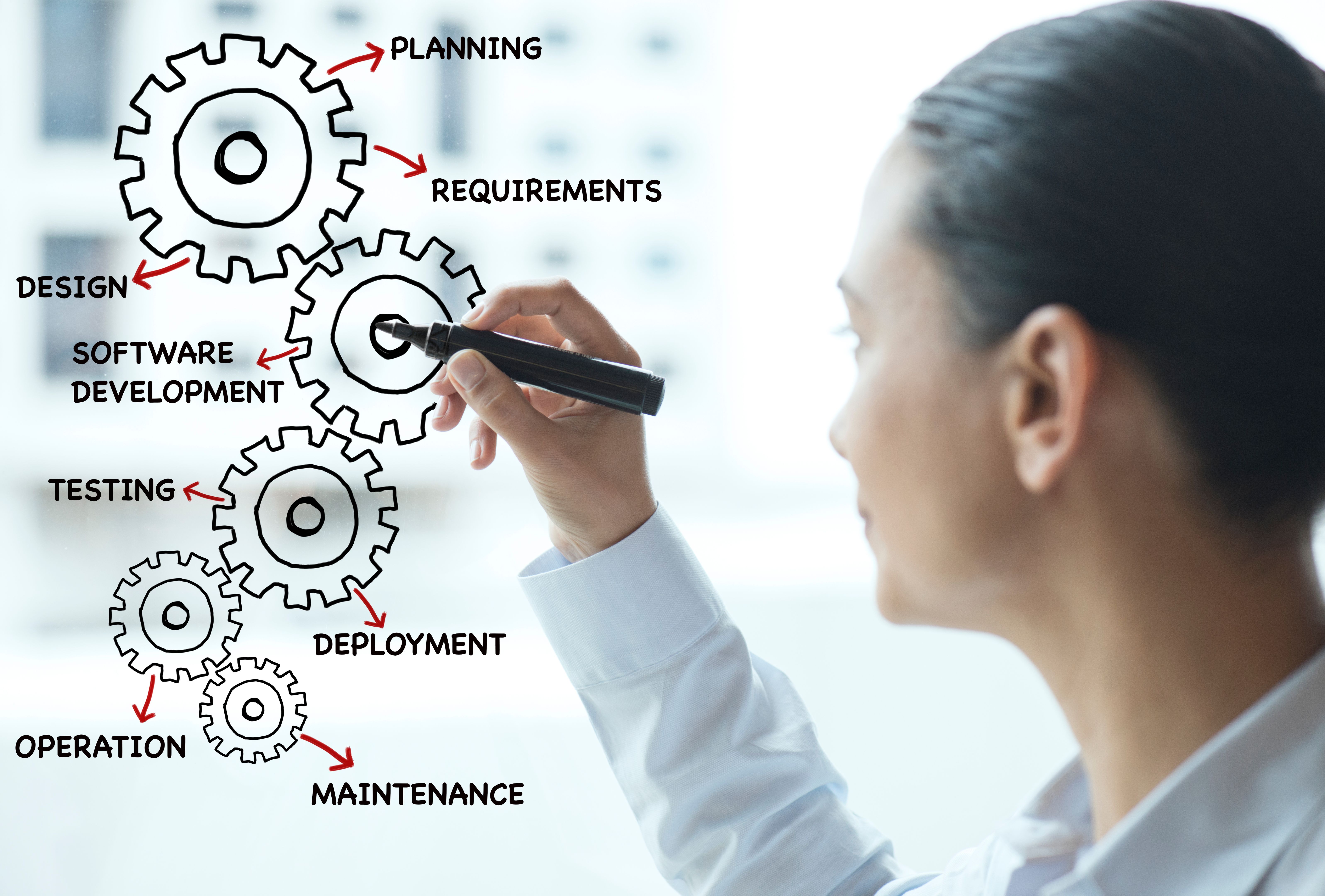 Software Development Lifecyle