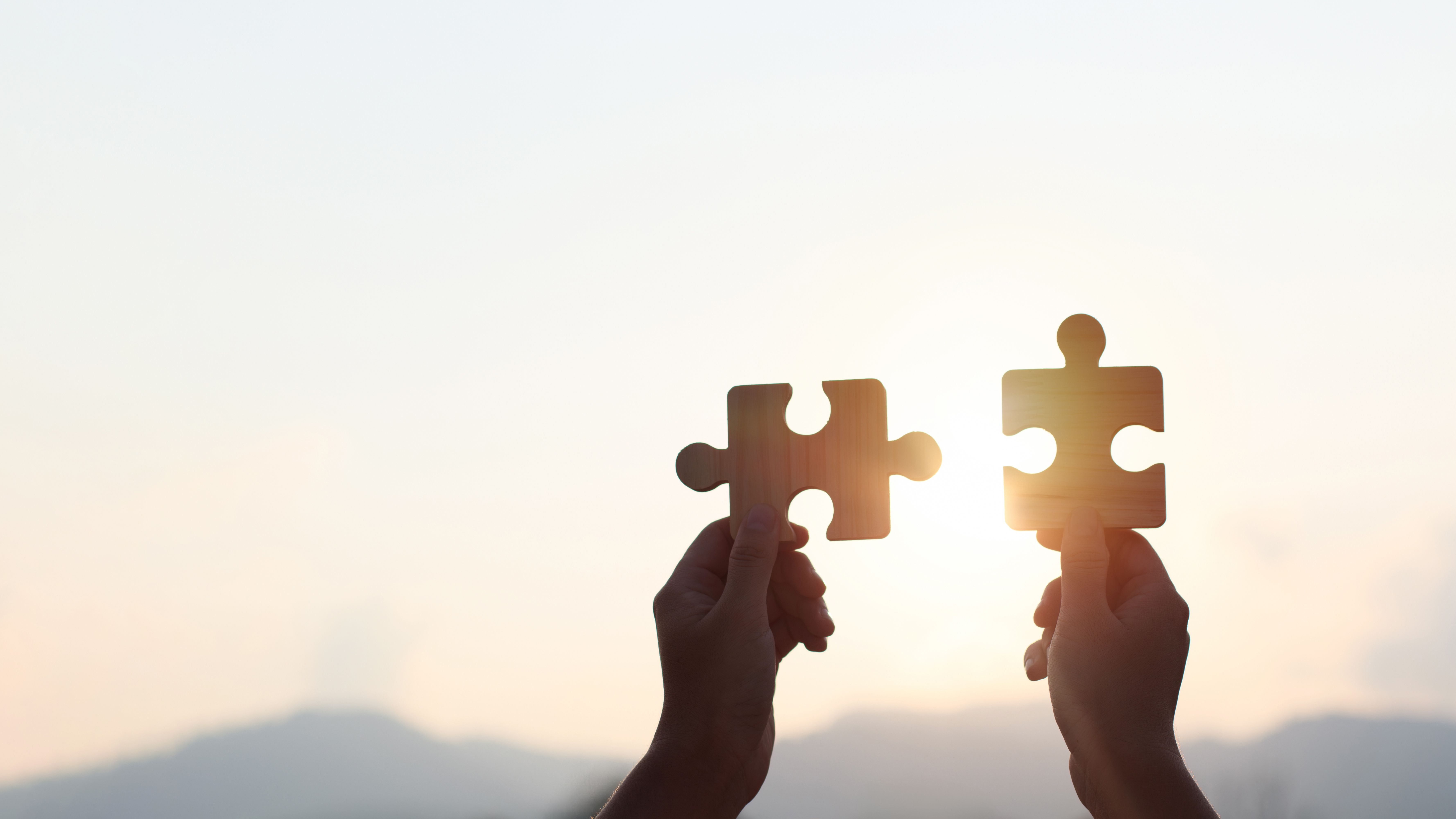 partnership challenges