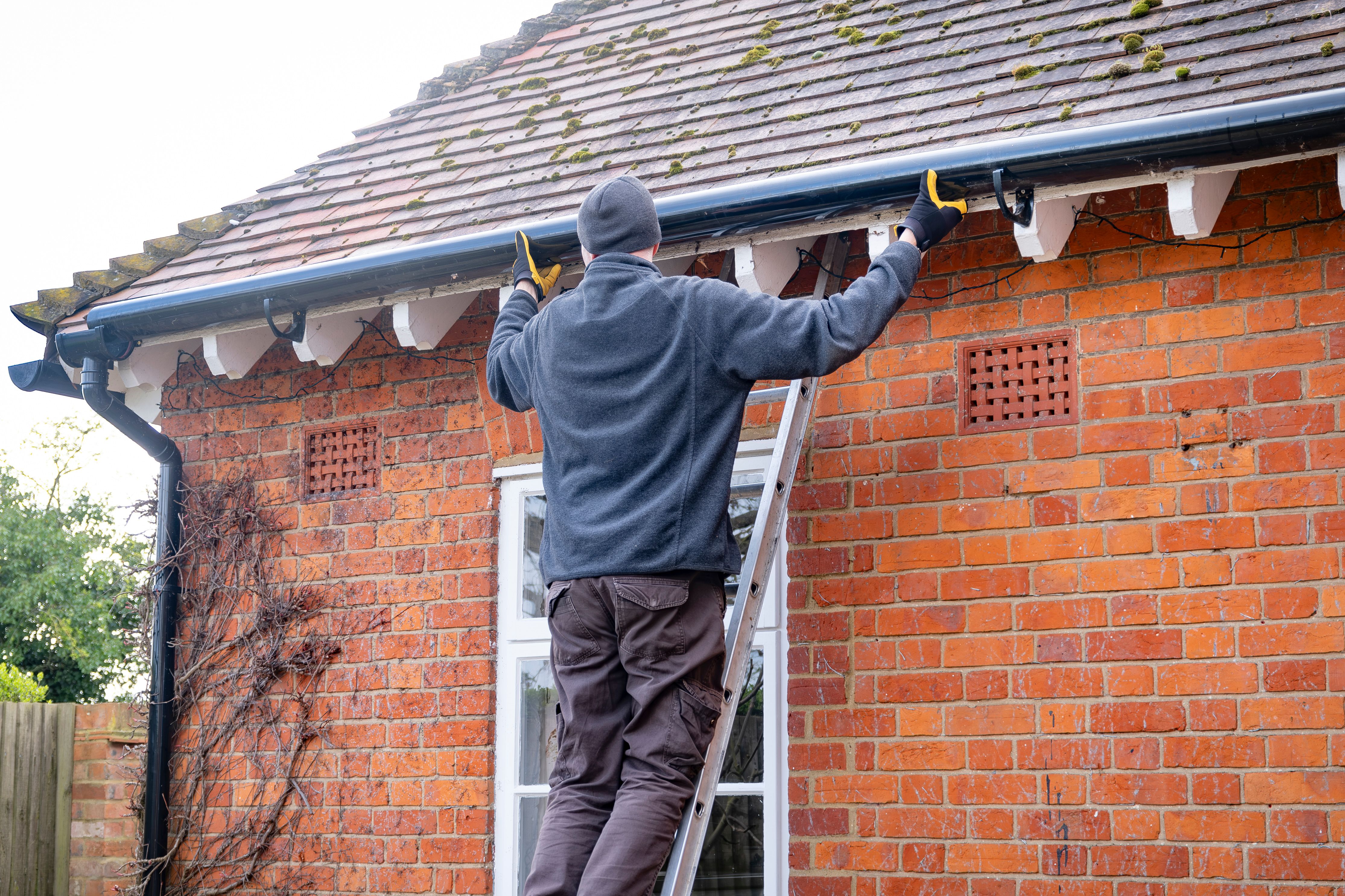 gutter cleaning