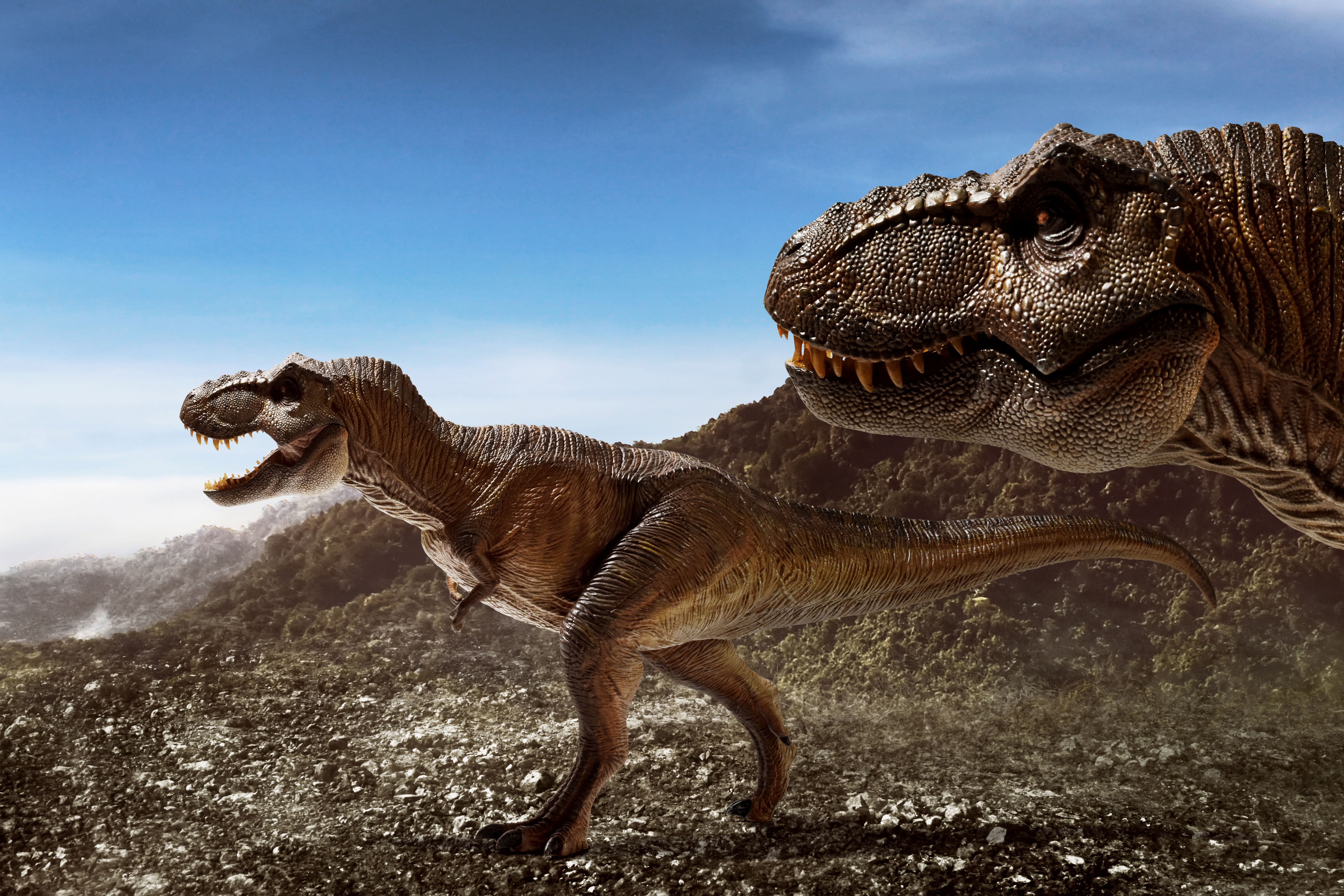 Dinosaurs tyrannosaurus rex on top mountain