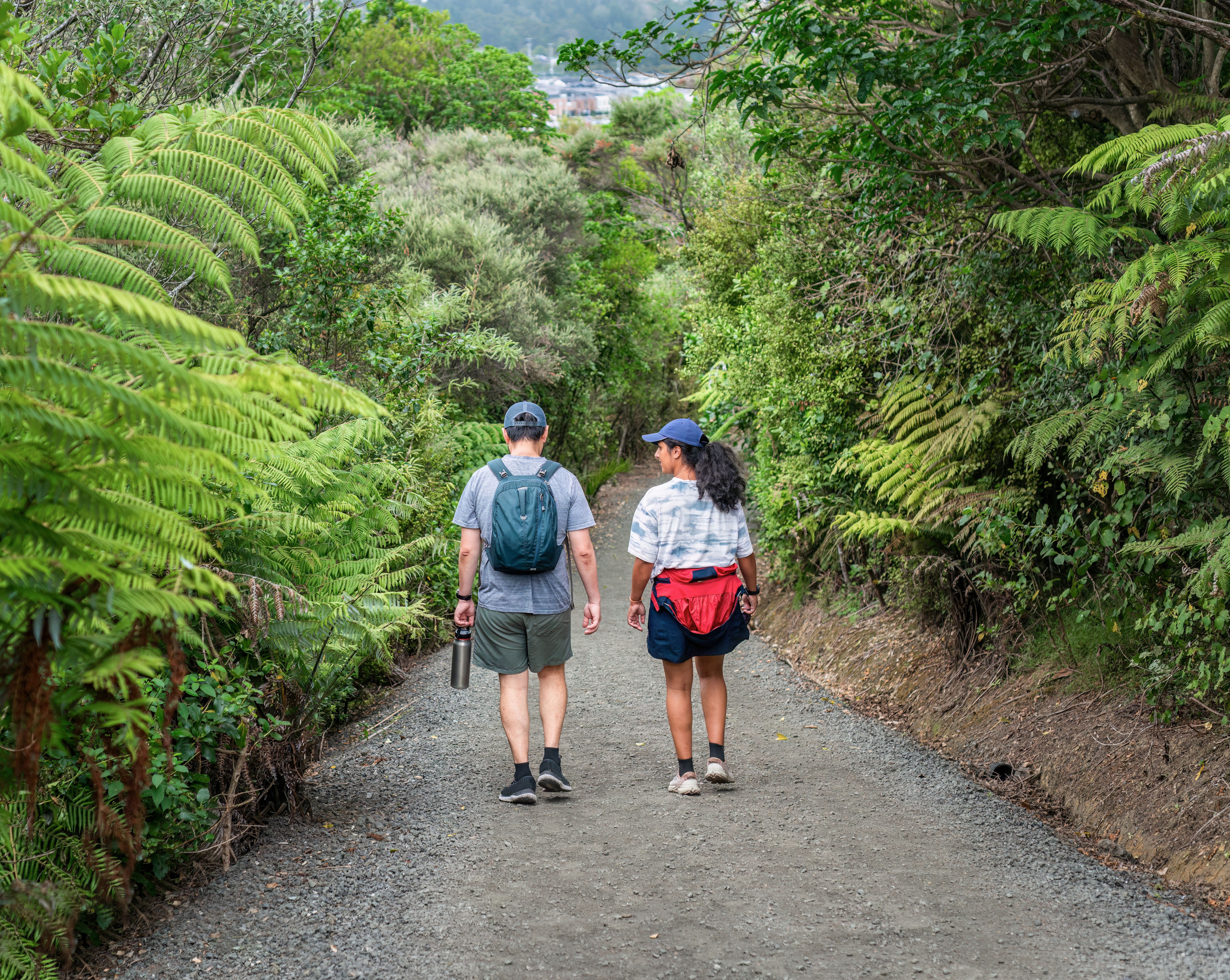 Couple walking in the forest with ferns on the side of the path. Long Bay Coastal Okura Track. Auckland. Couple walking in the forest with ferns on the side of the path. Long Bay Coastal Okura Track. Auckland.