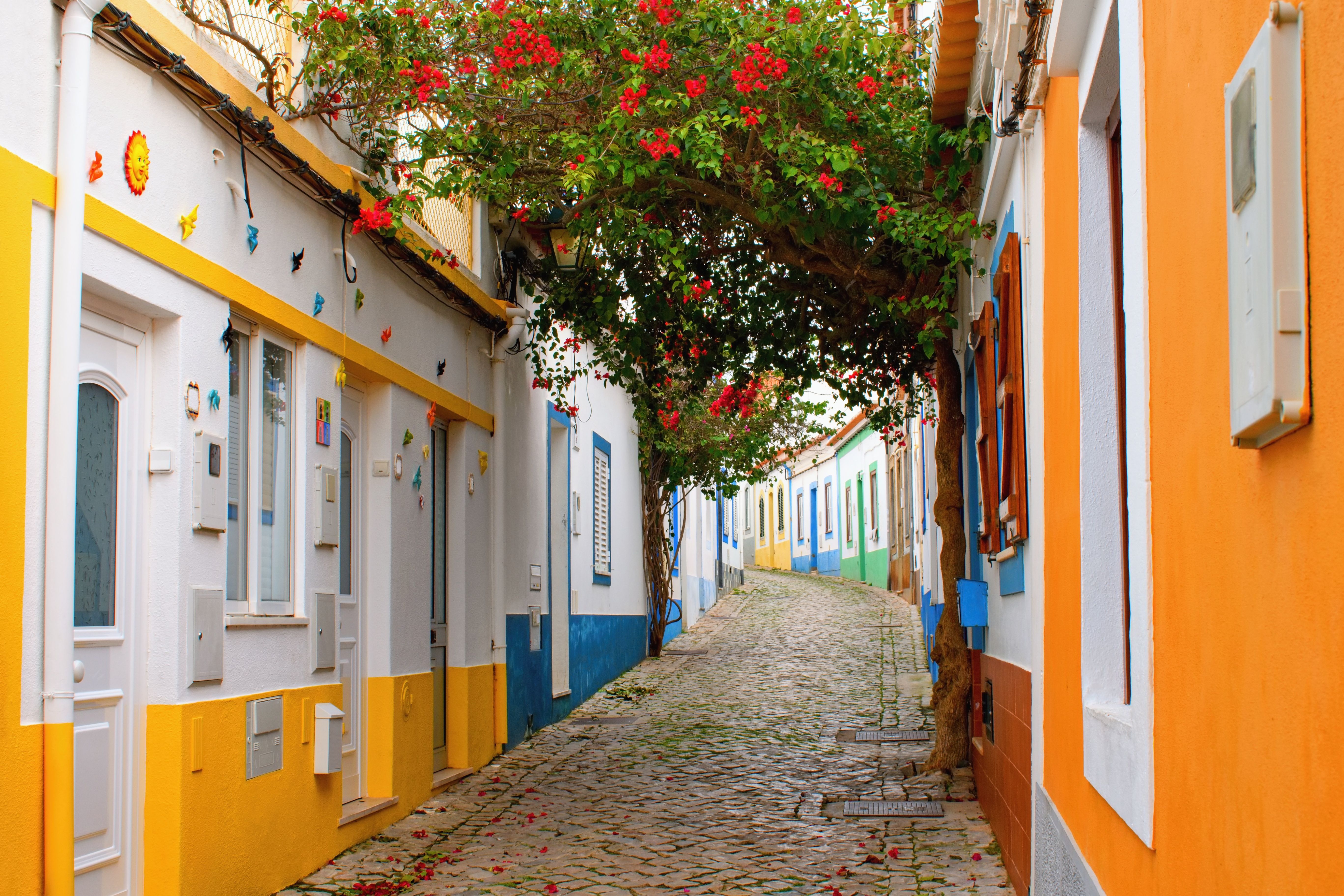 vibrant community portugal