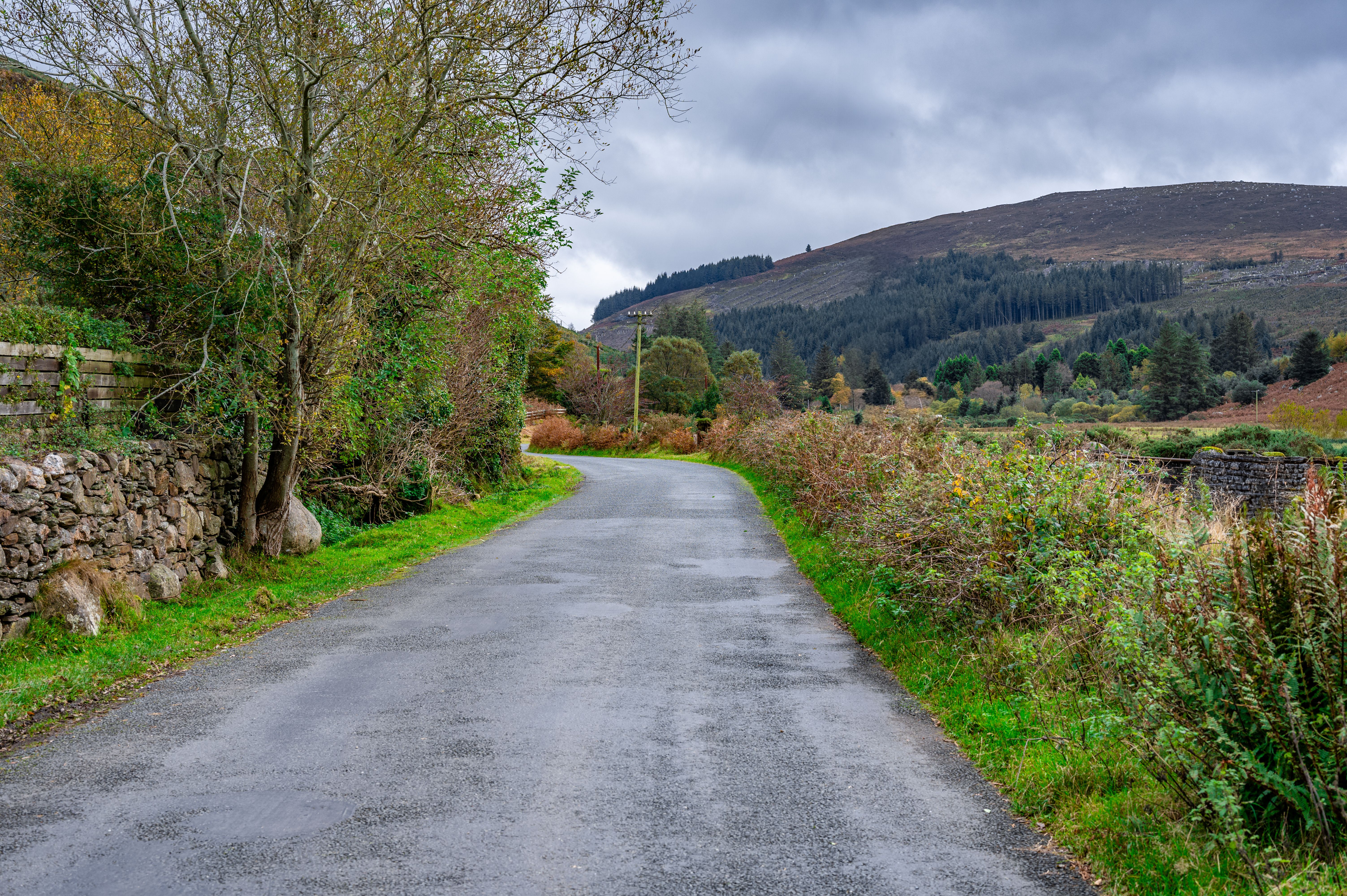 Rural Road at Glenmacnass Valley, Co. Wicklow