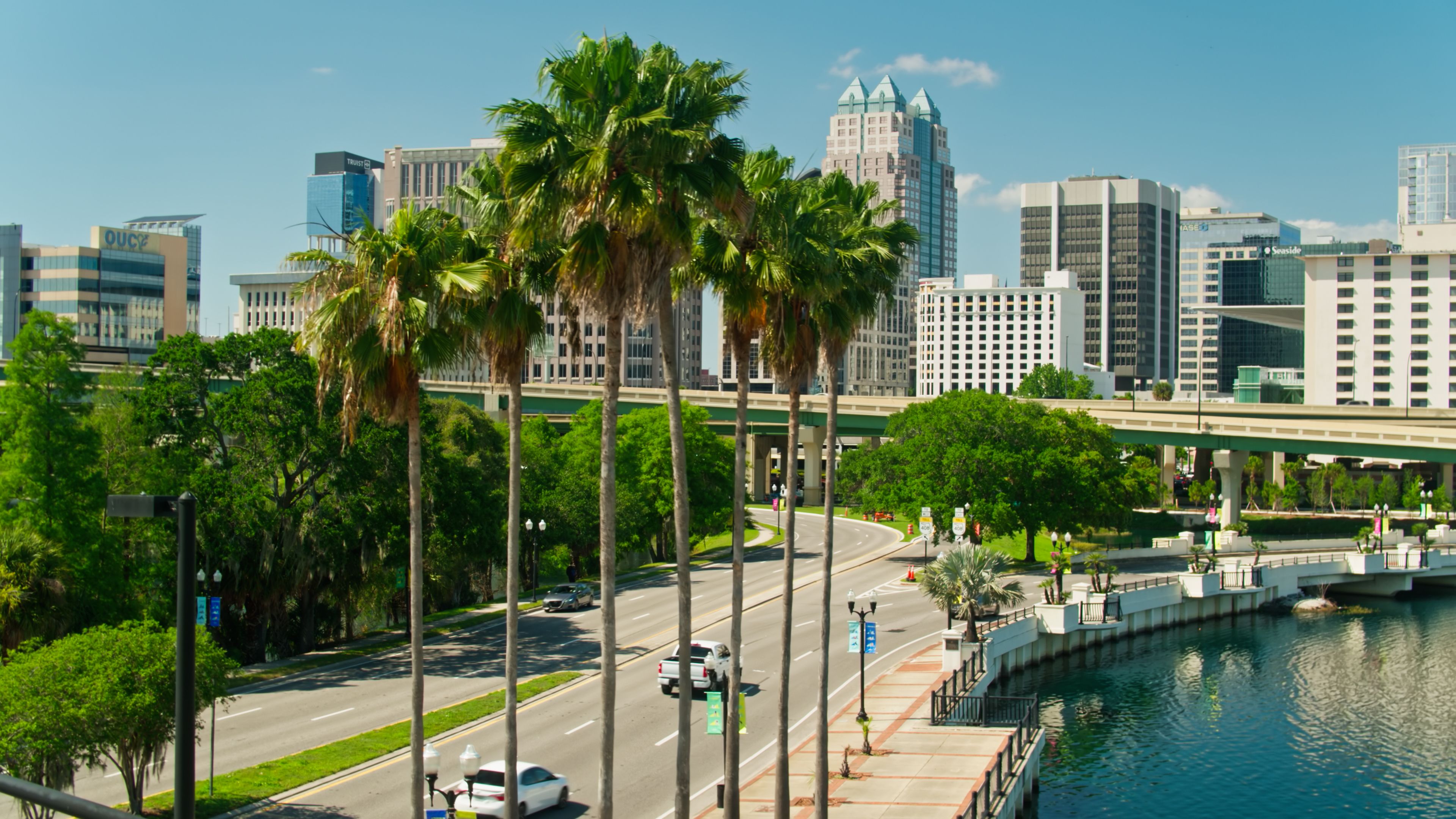 Drone Shot of Palm Trees in Front of Downtown Orlando