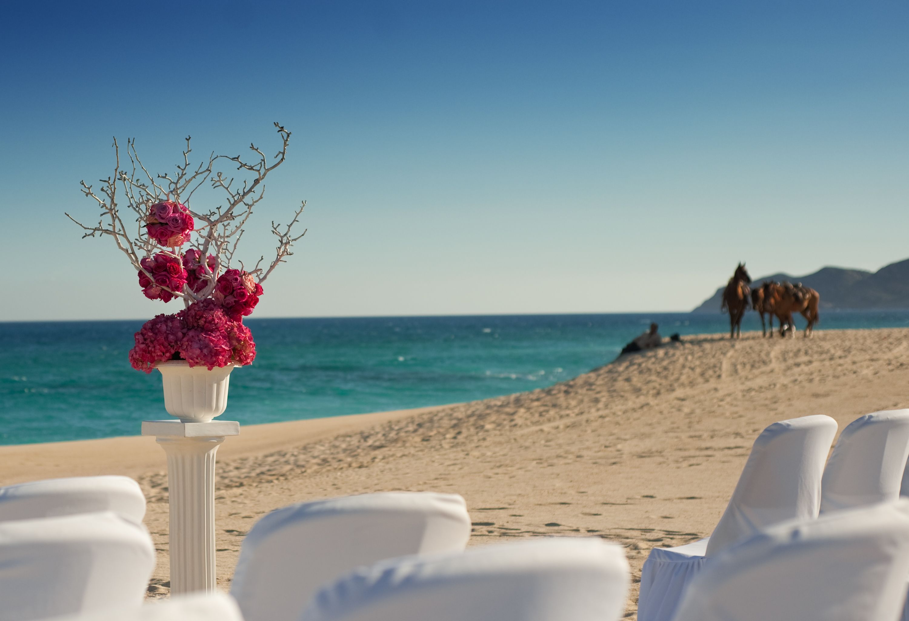 destination wedding DJ