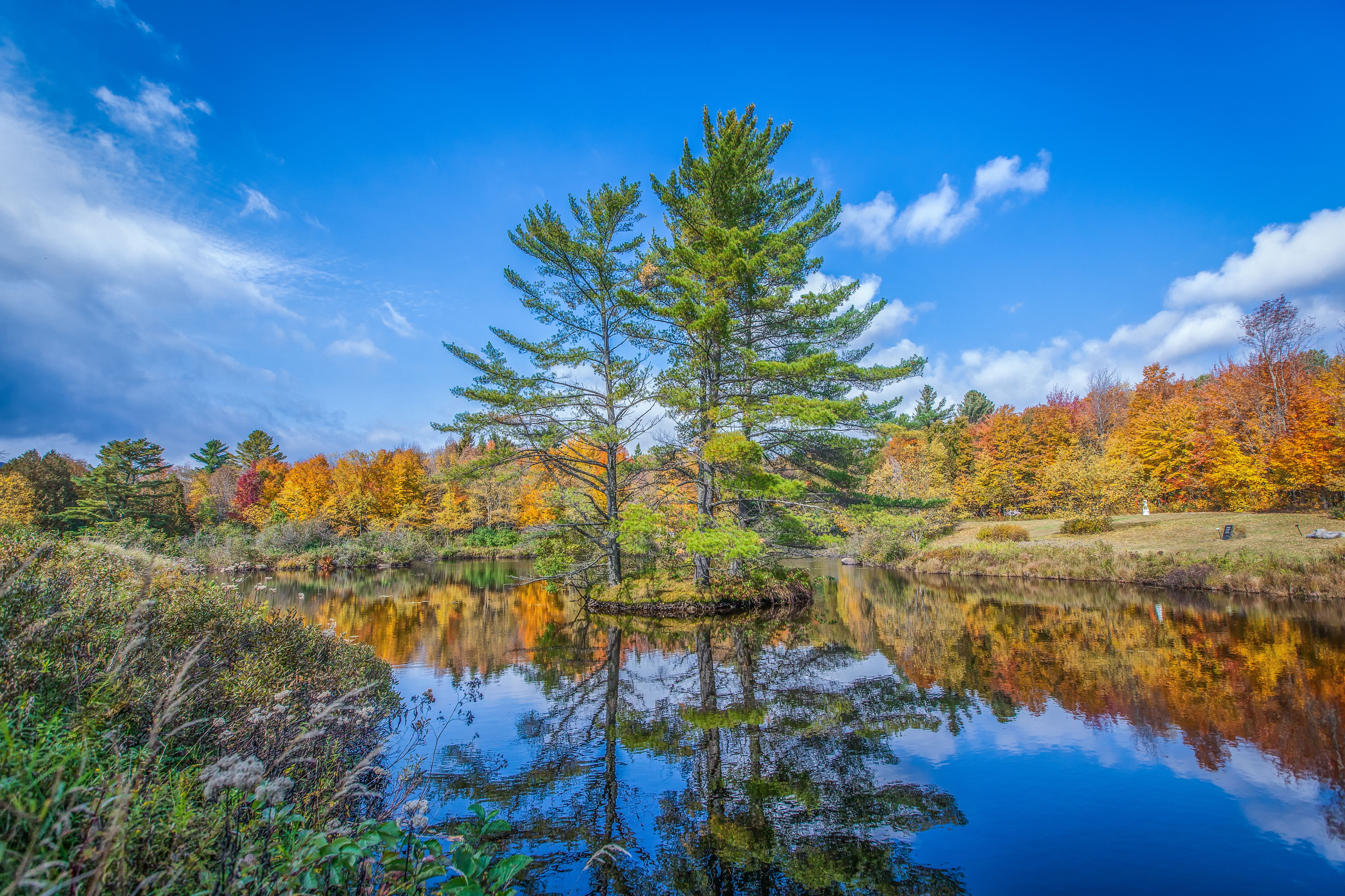 Autumn landscape of Canada.