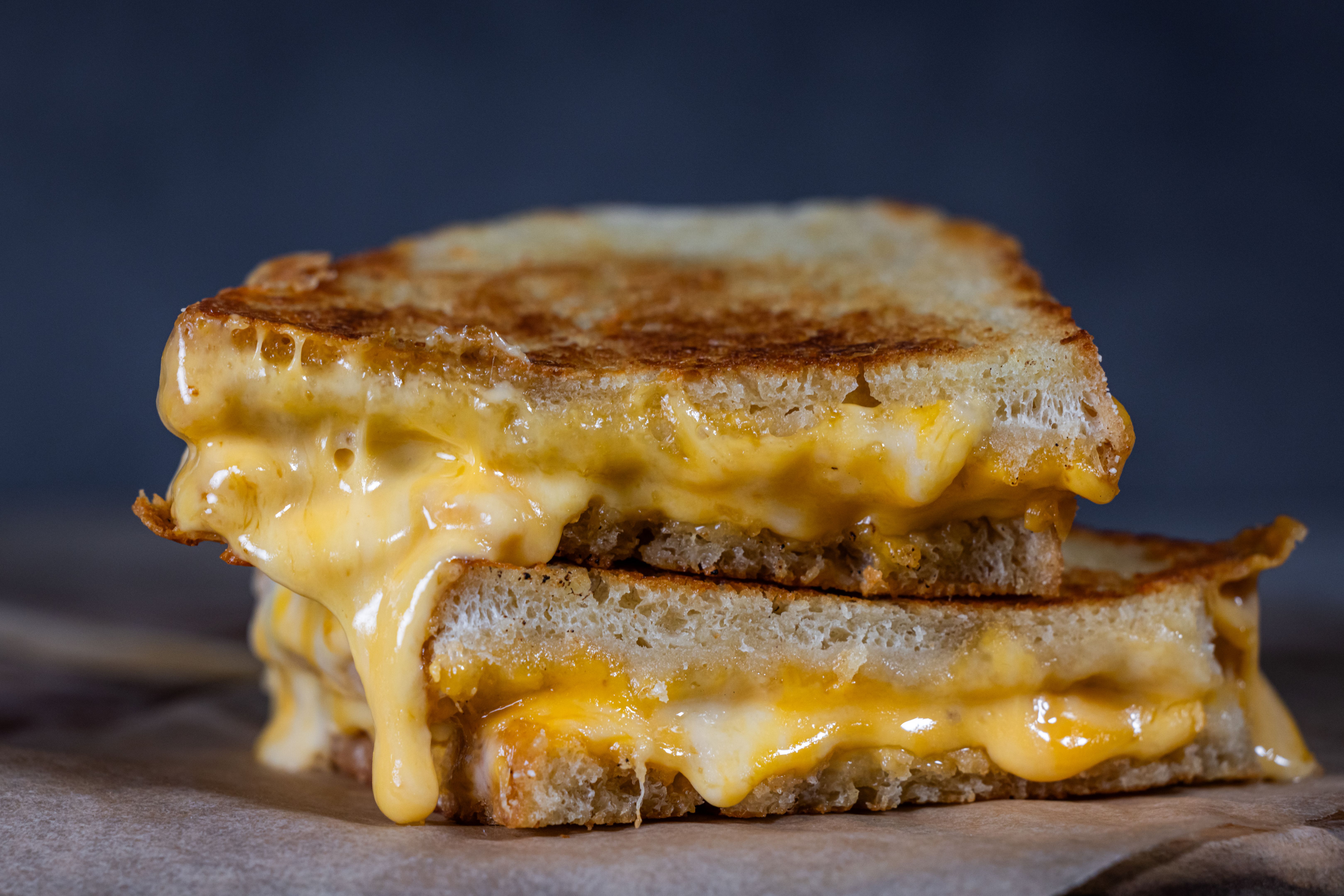 grilled cheese sandwich