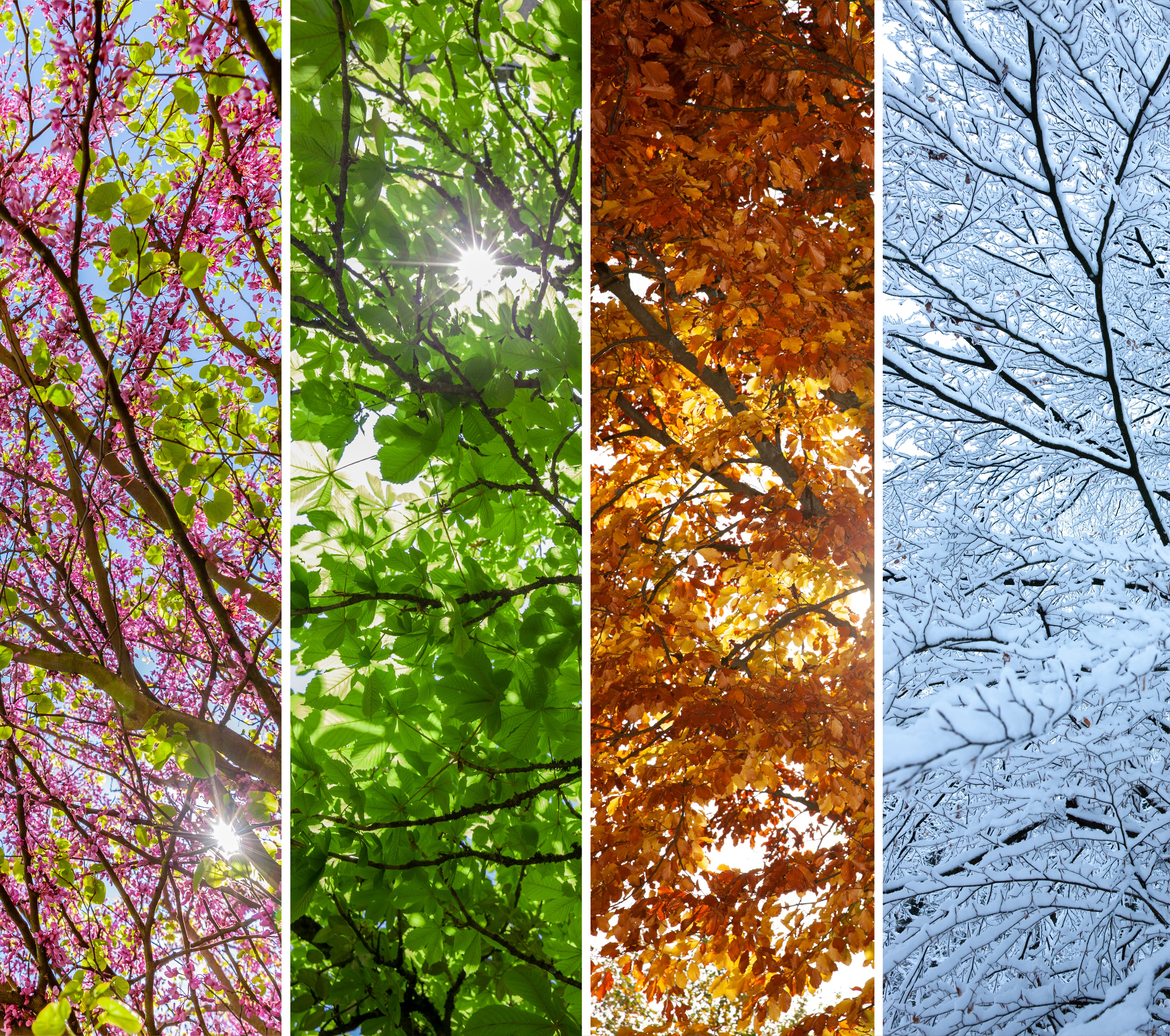 seasonal changes nature