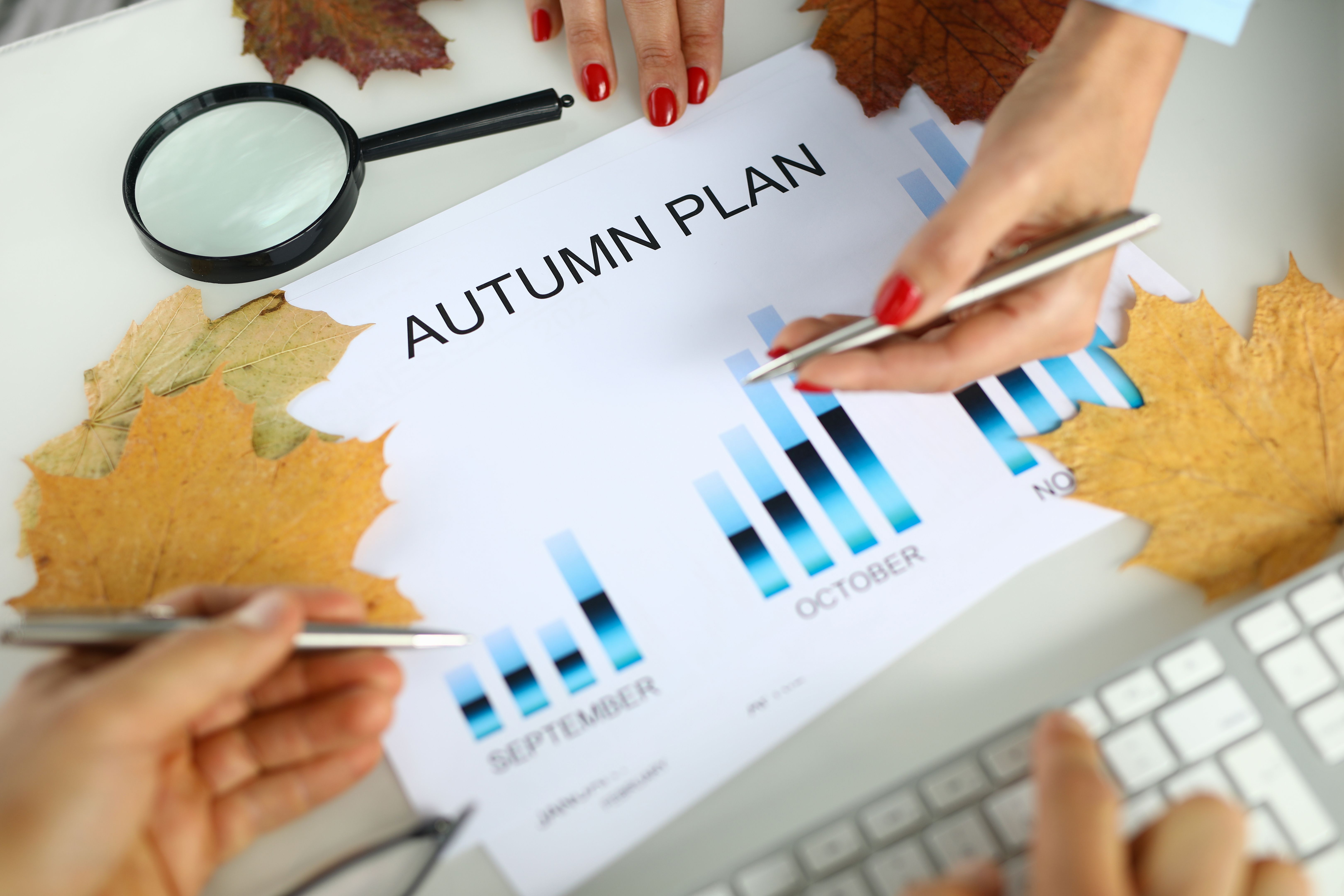 financial review autumn