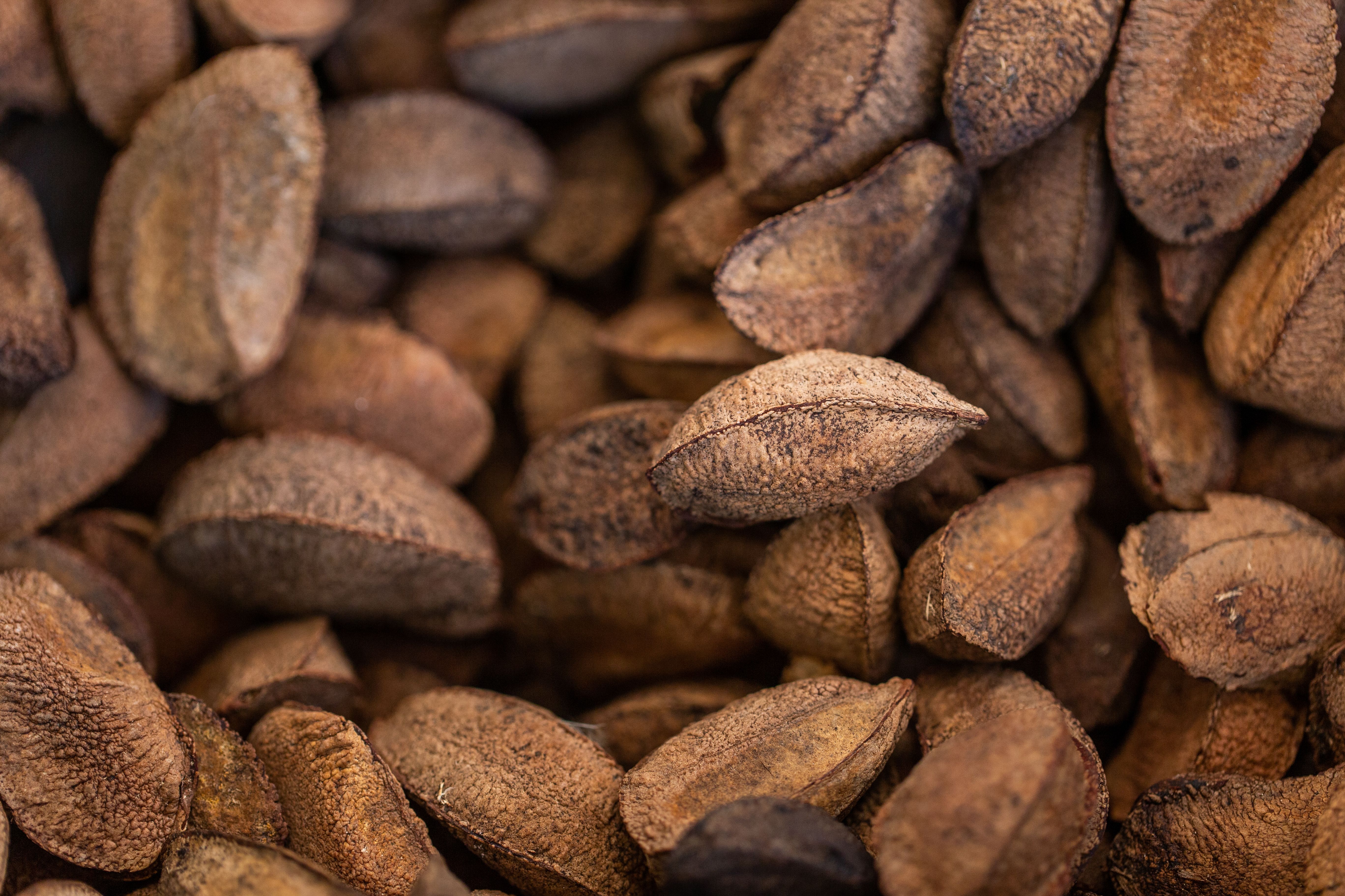 brazilian ingredients