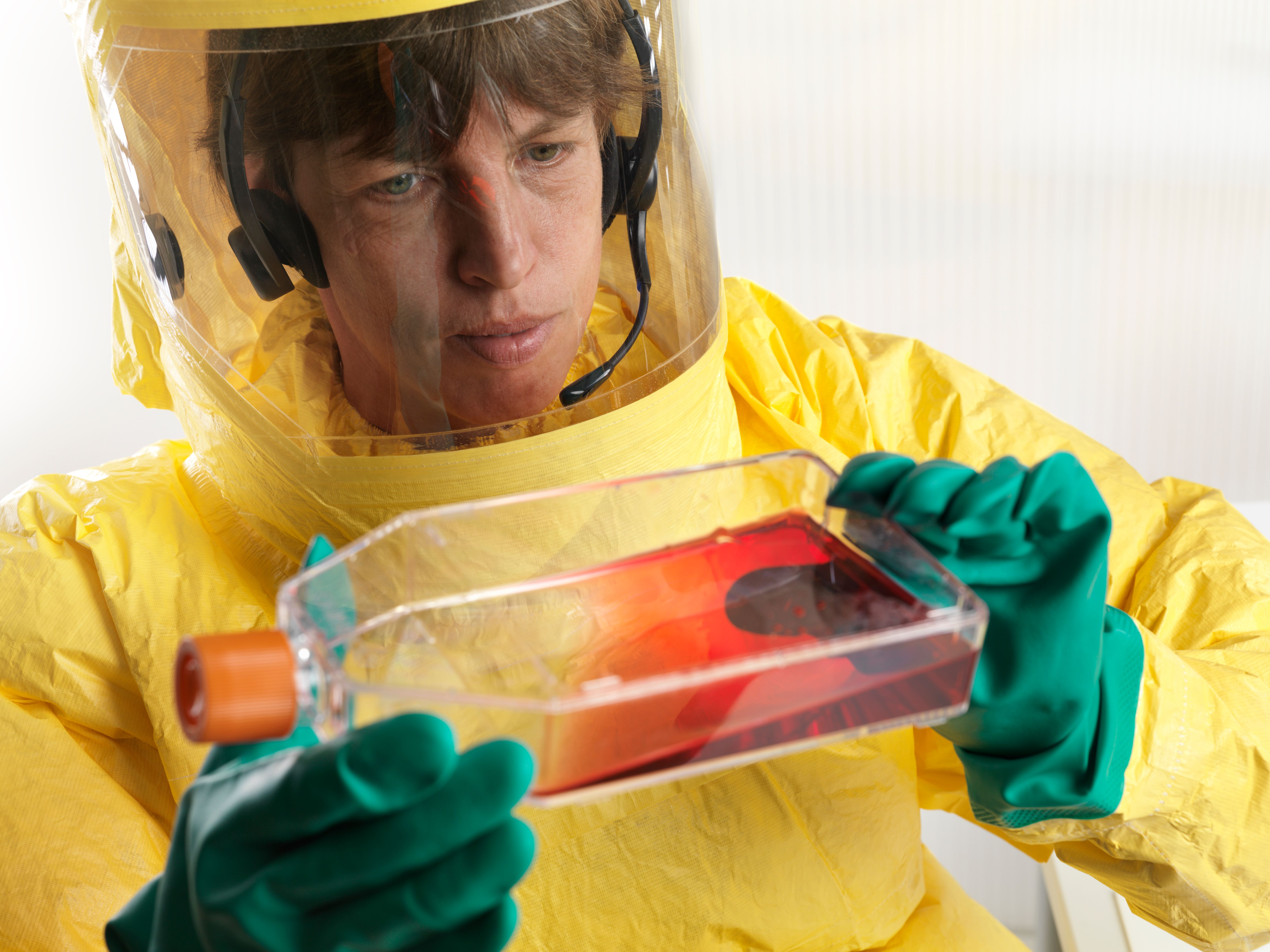 choosing exterminator