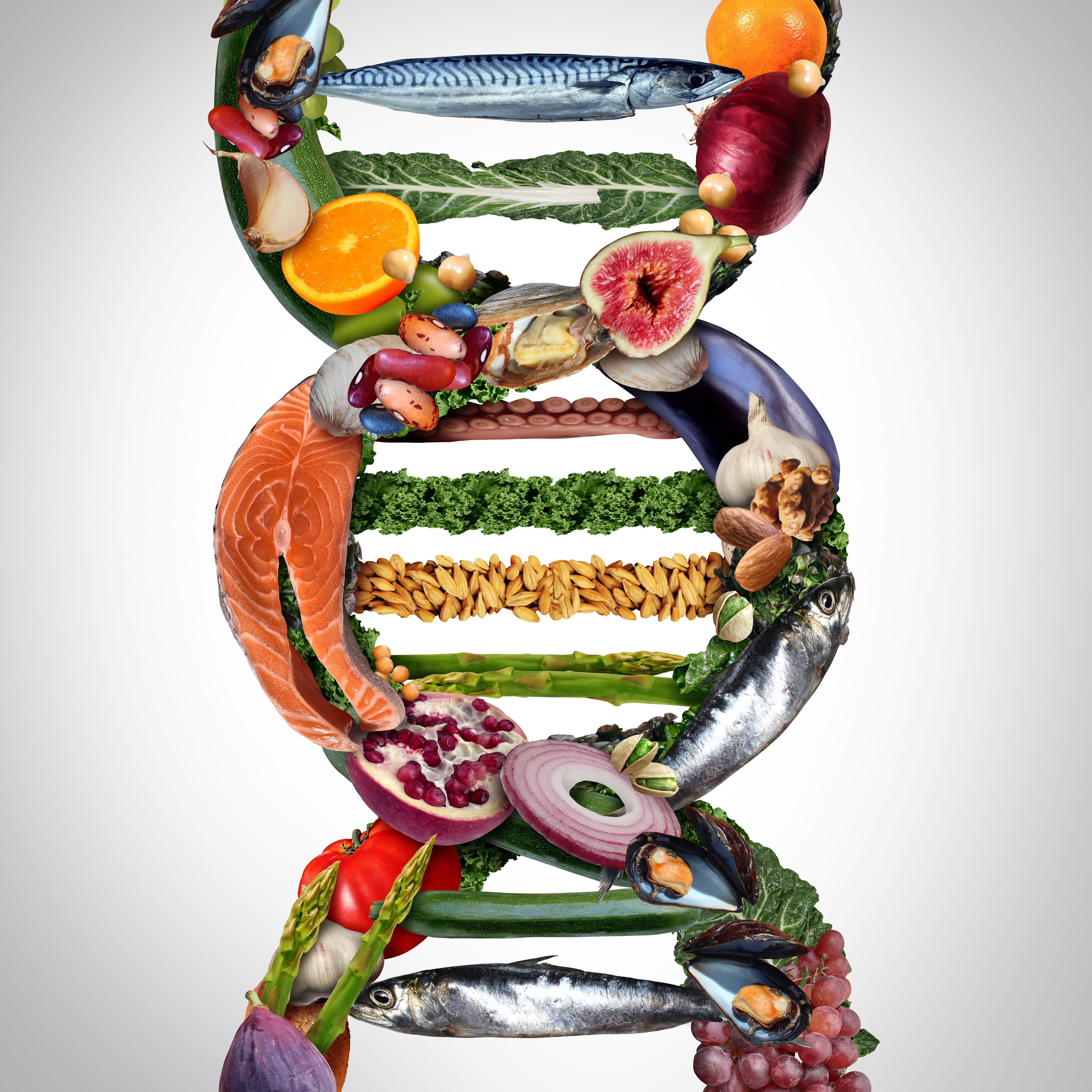DNA nutrition