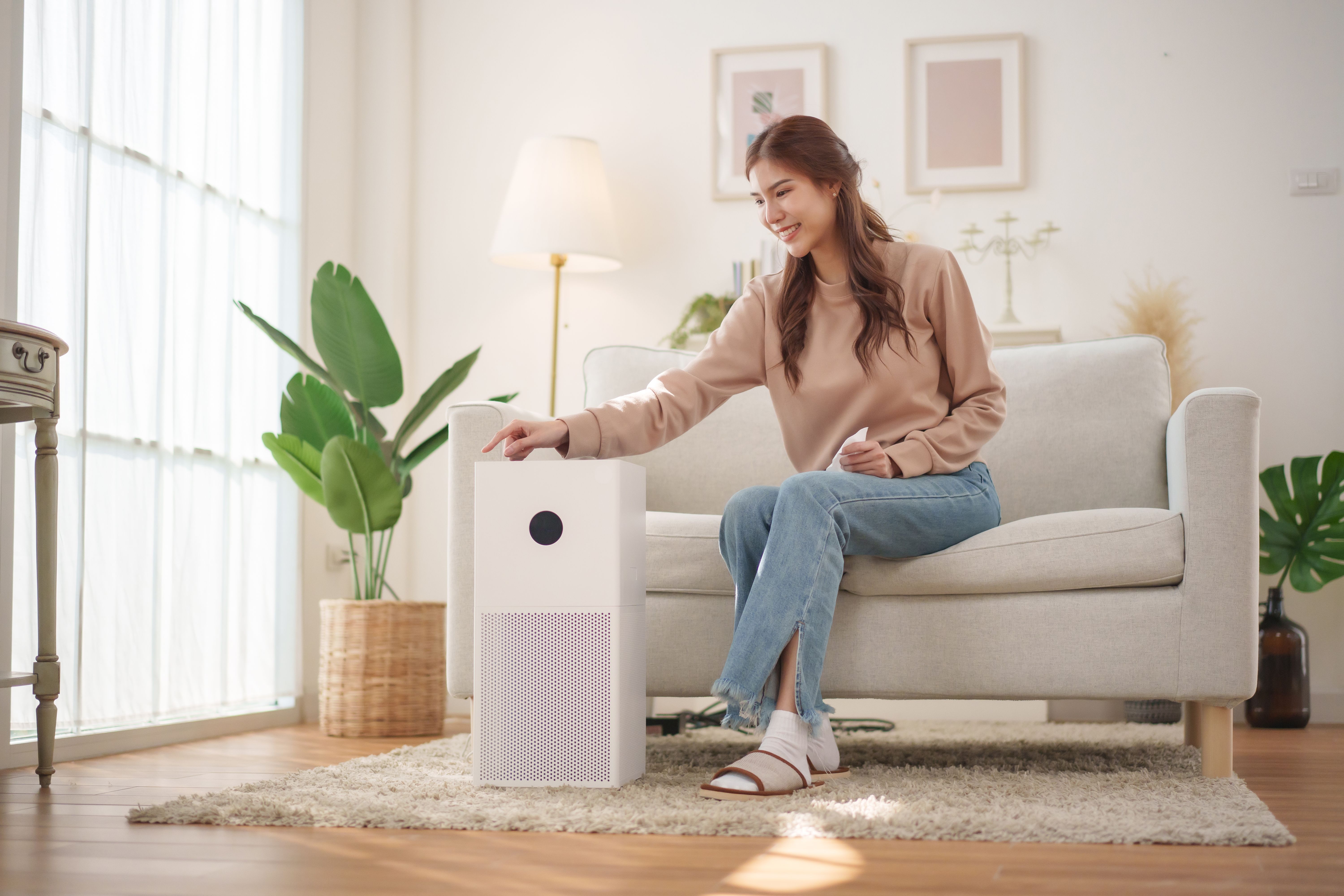air purifier