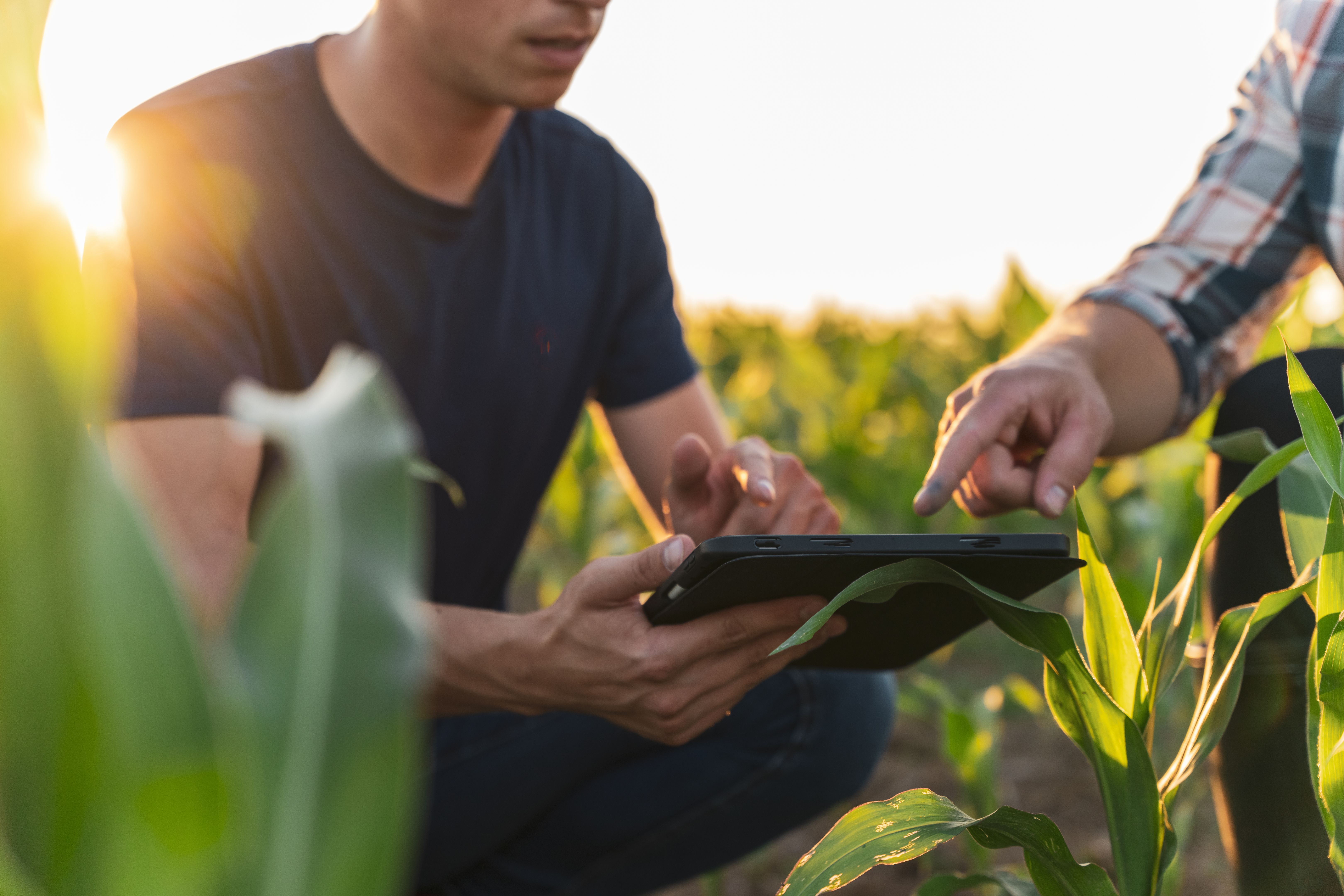 farming cost analysis