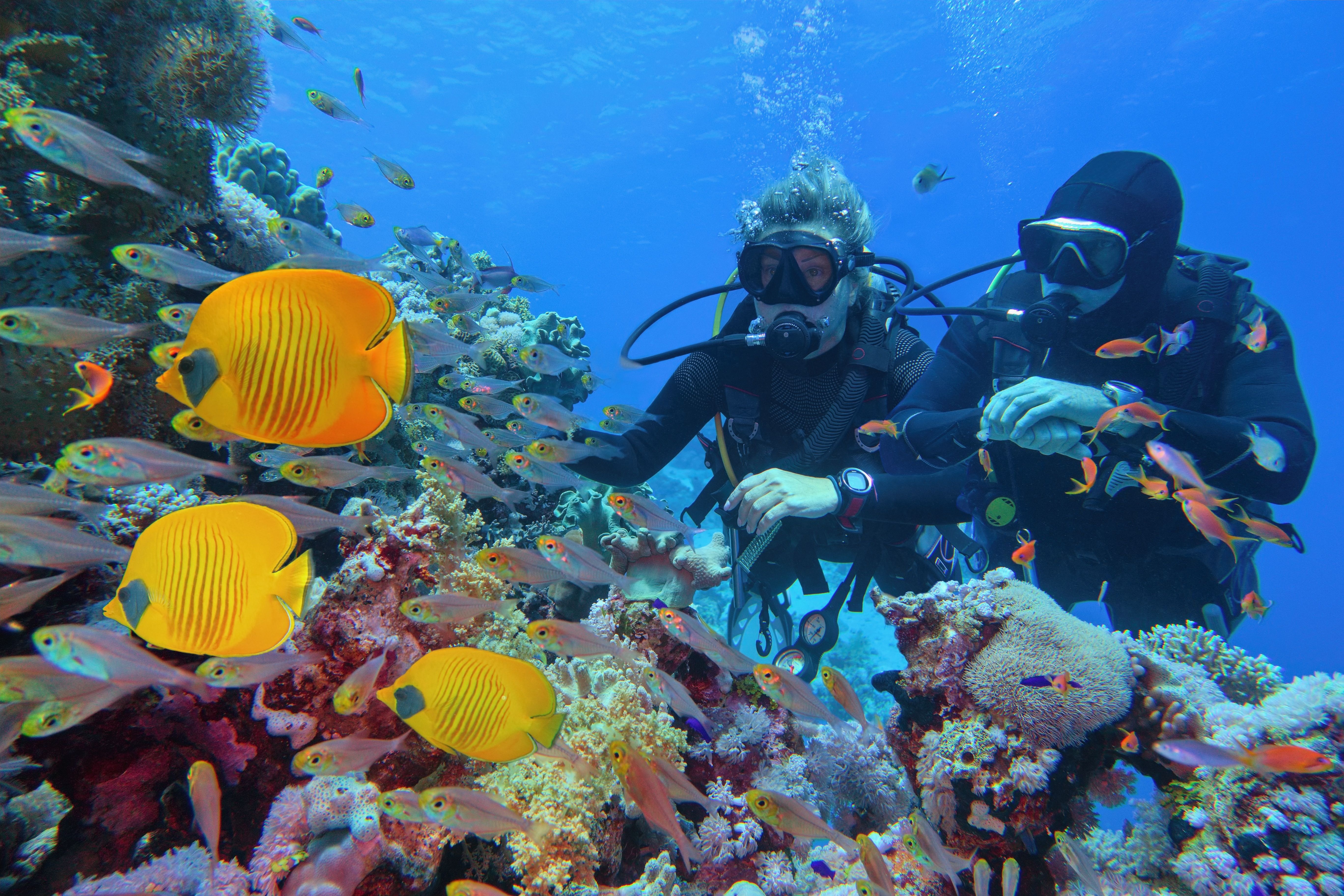 scuba diving reef