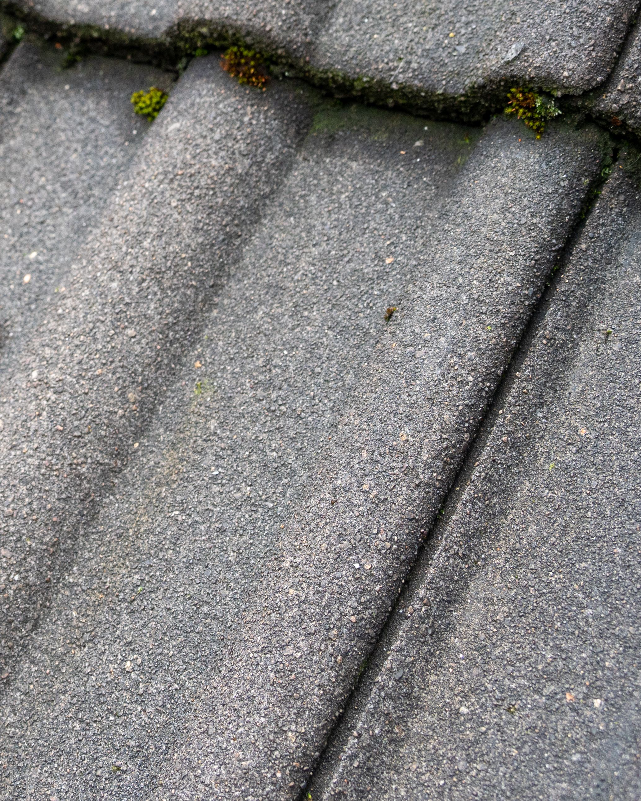 roof cleaning method