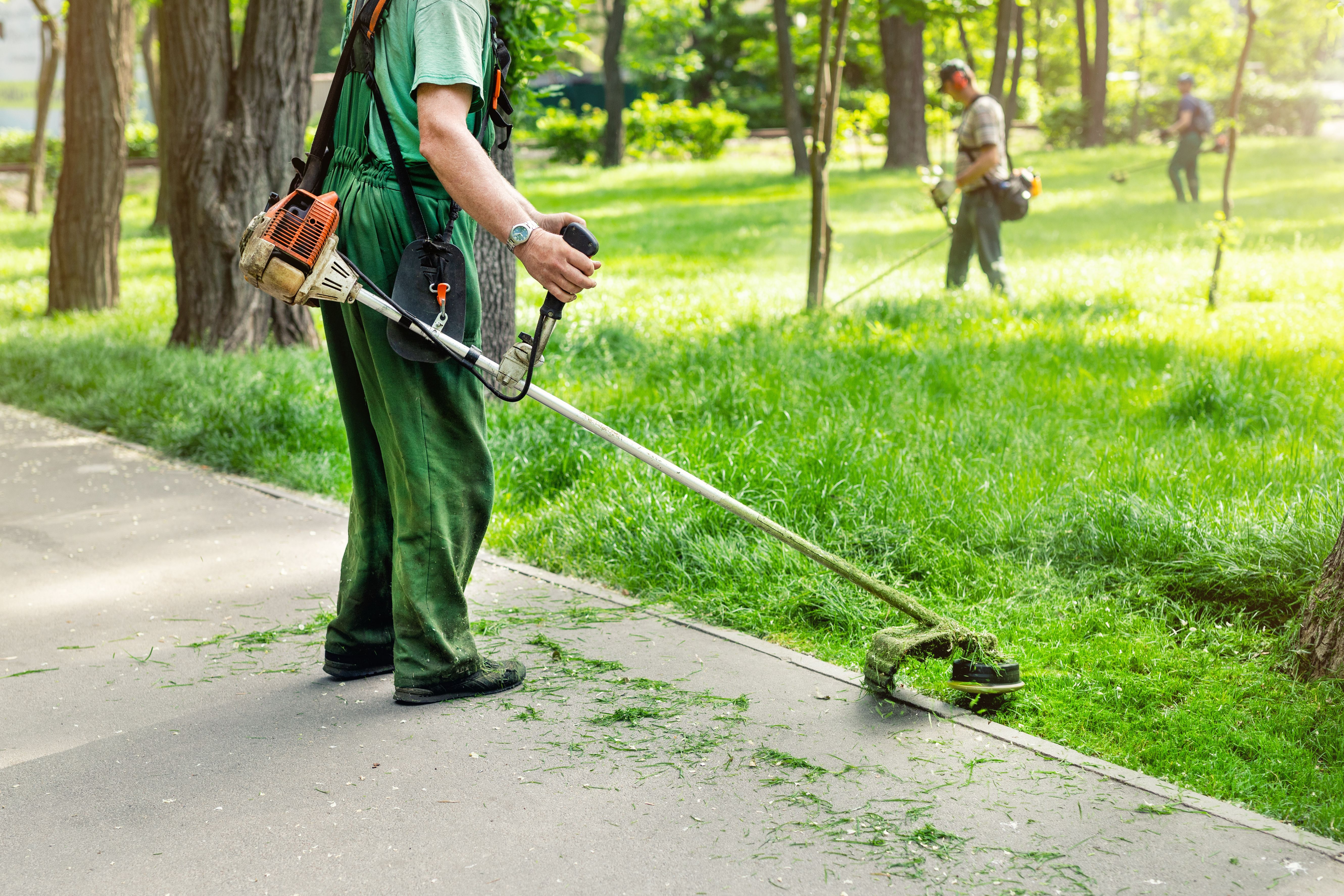 Seasonal landscaping worker trimming grass