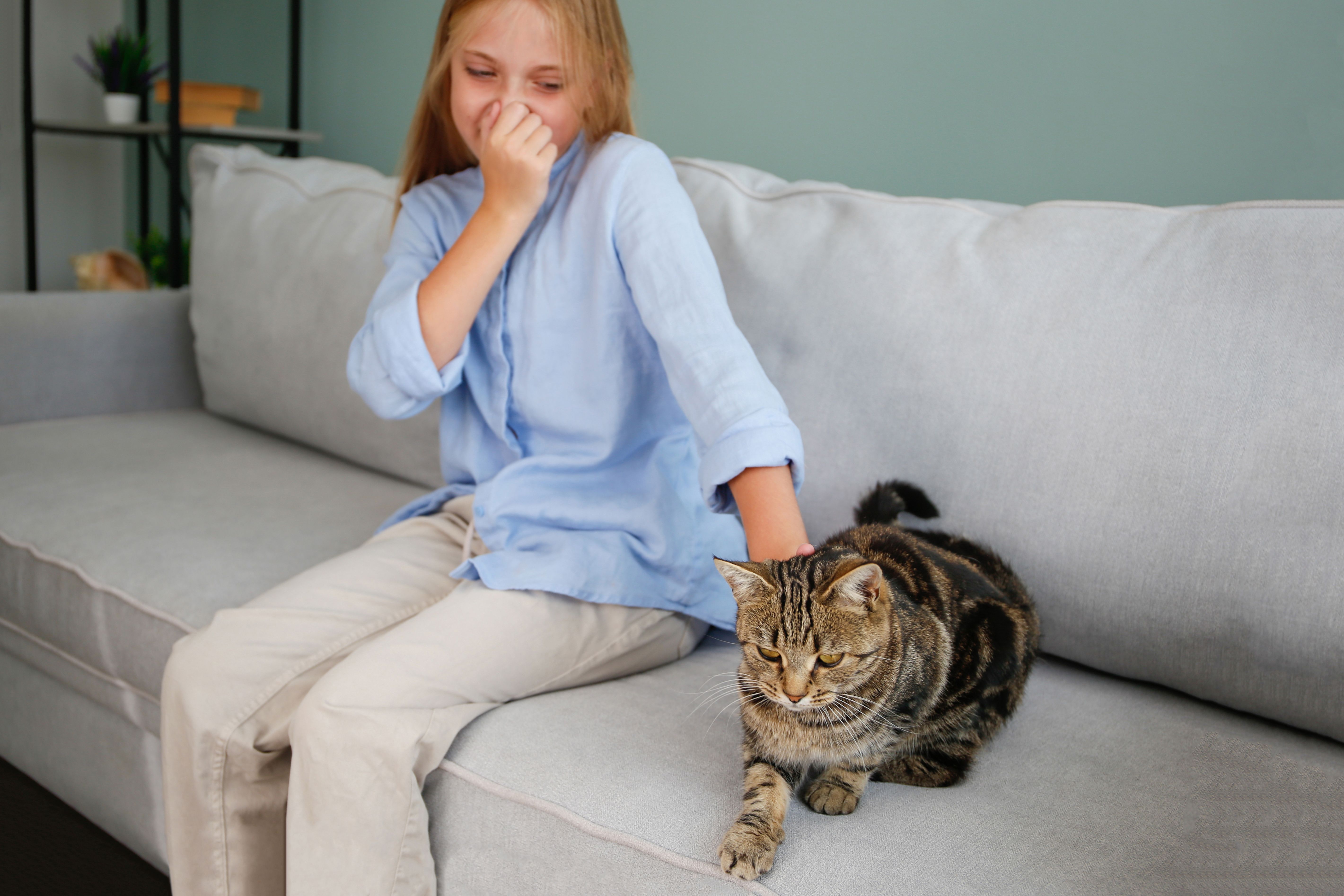 cat odor