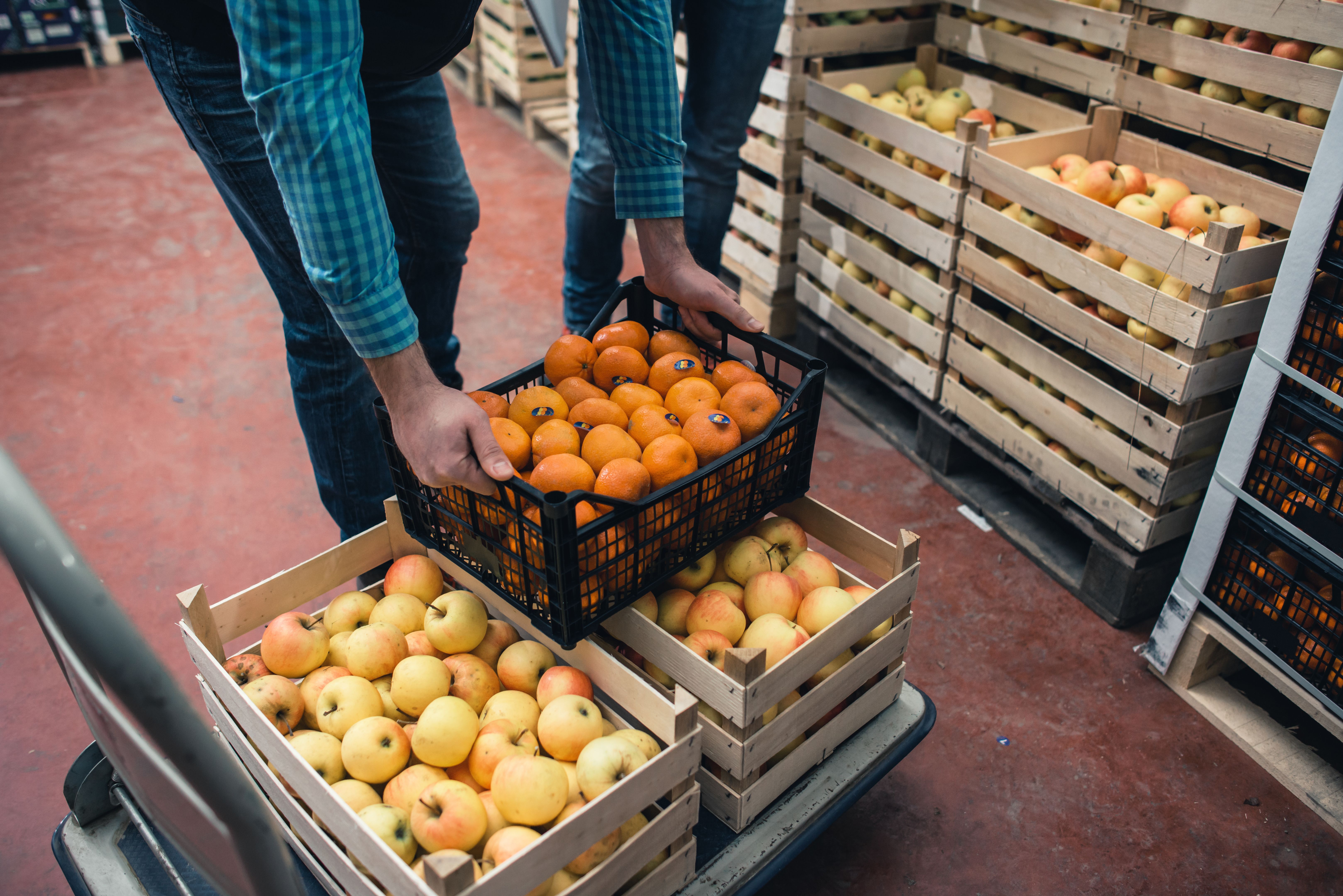 wholesale food