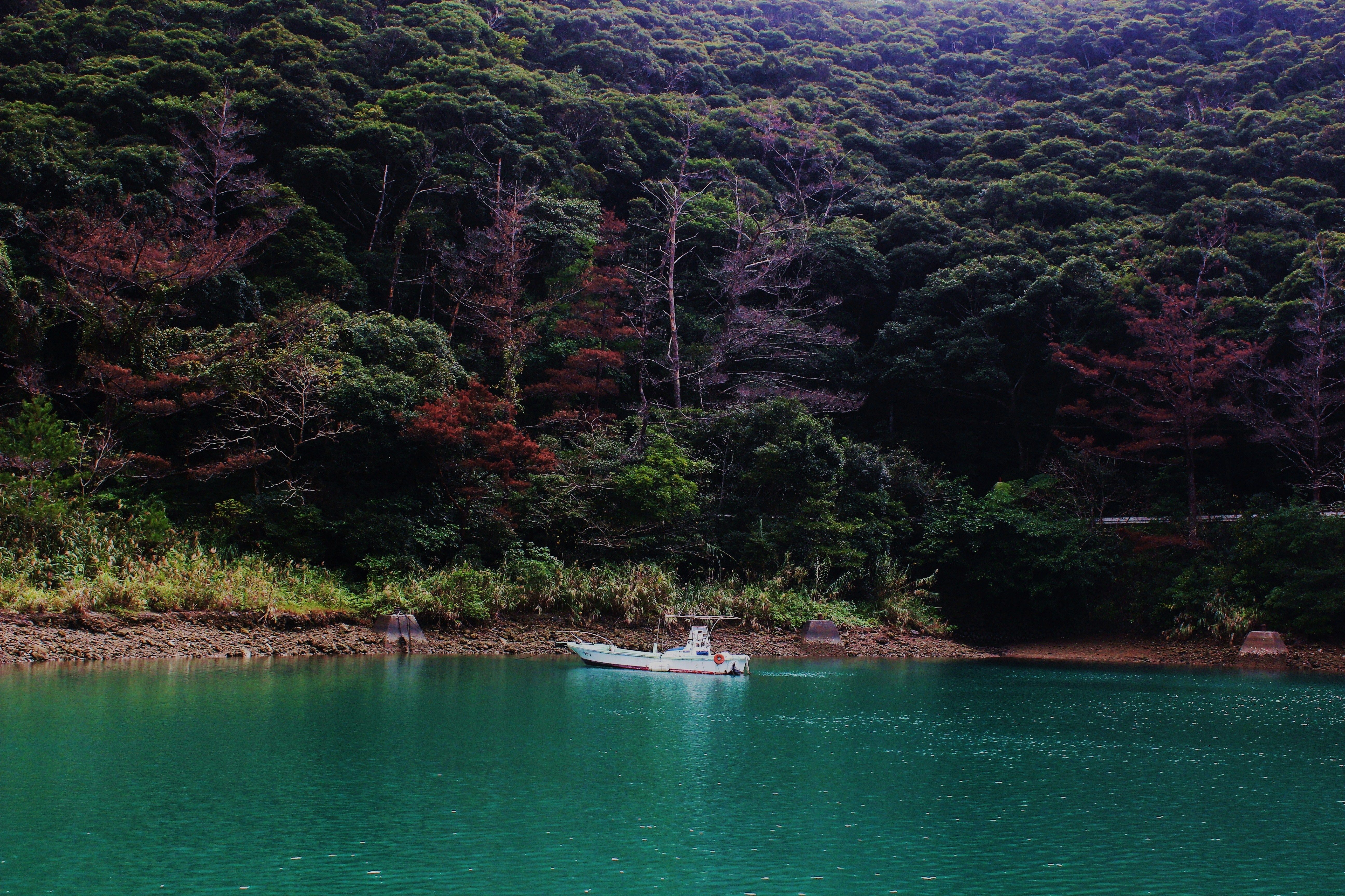 autumn fishing Kagoshima