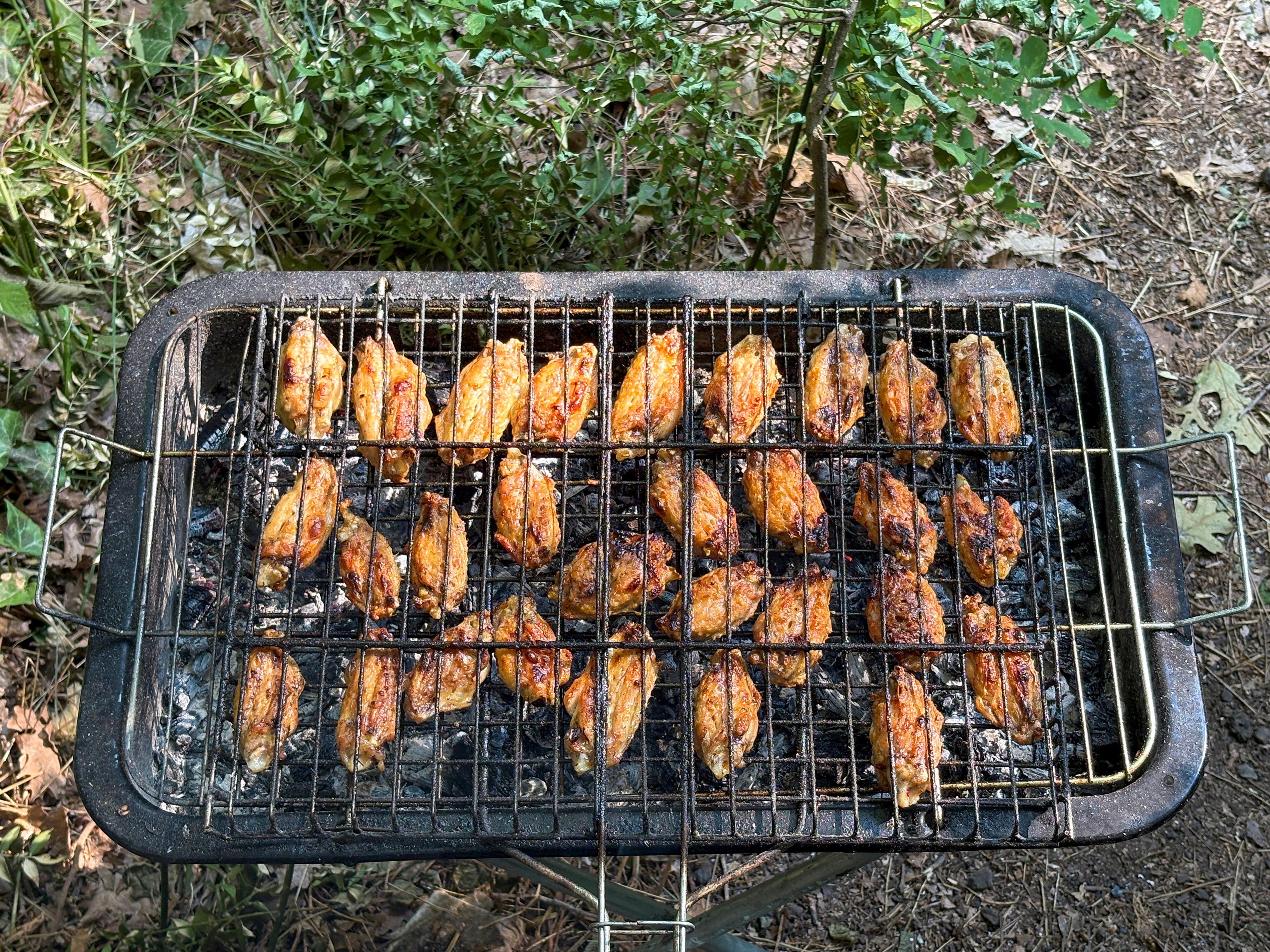 marinated wings
