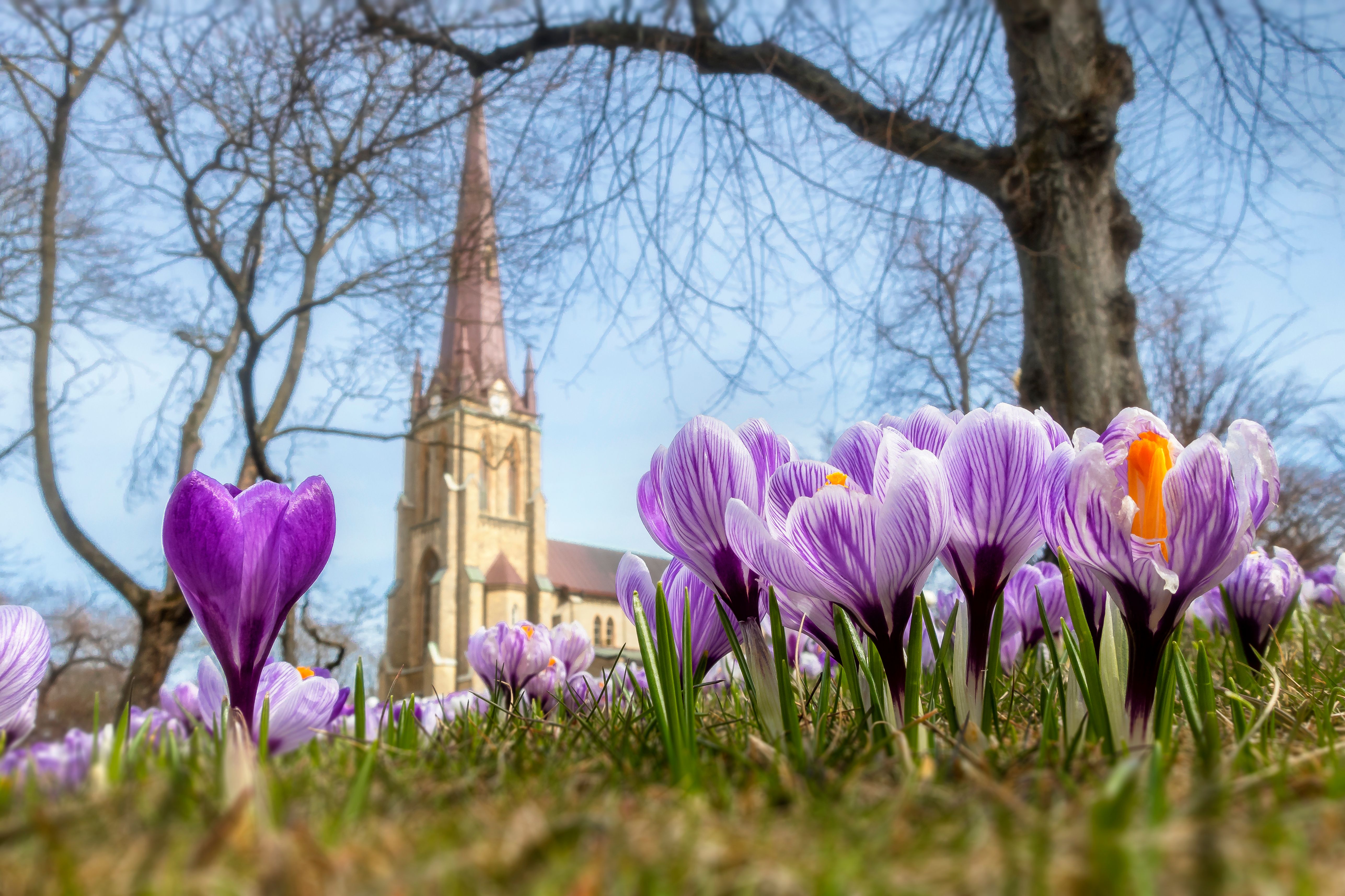 church flowers