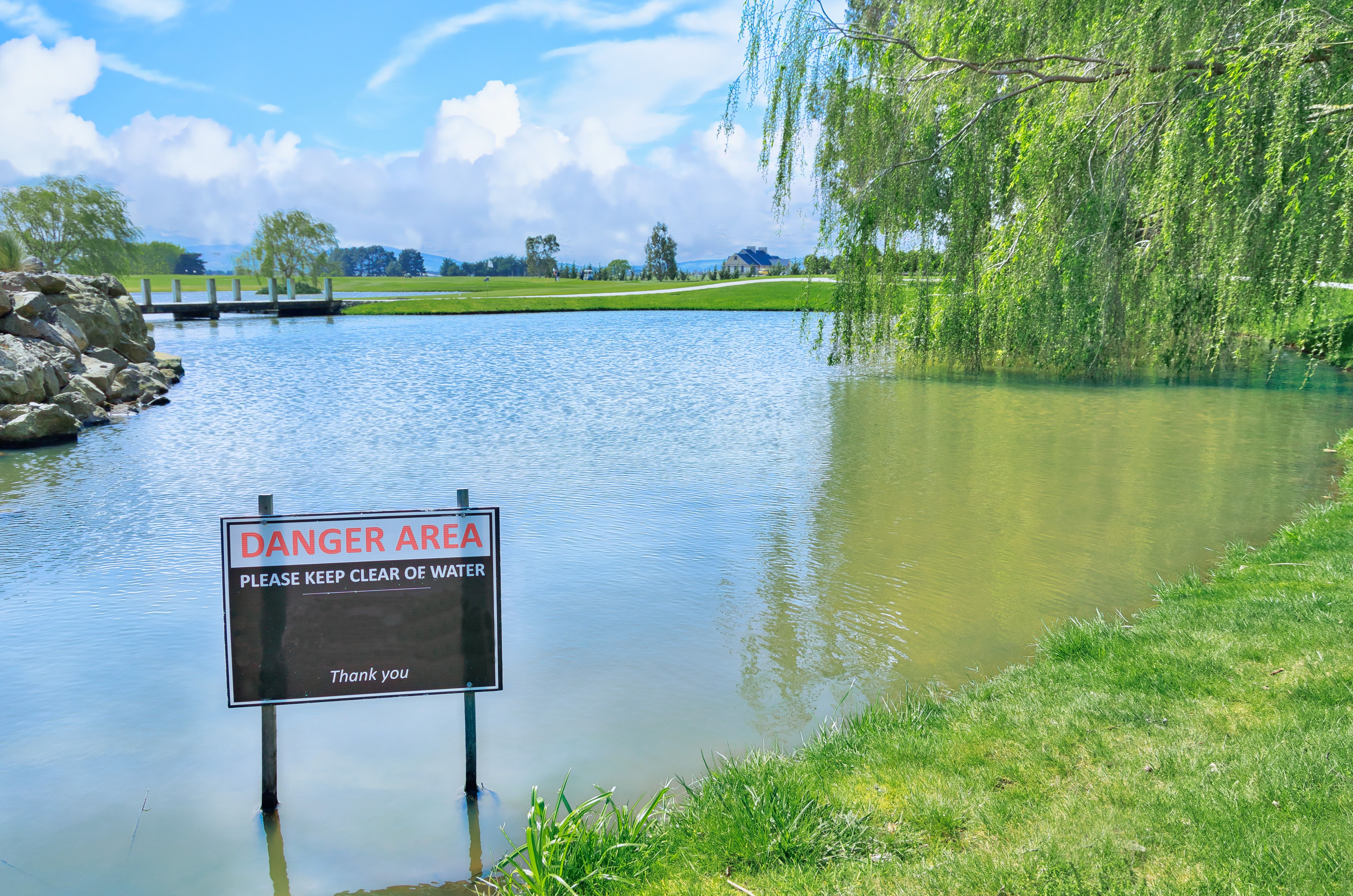 complementary colors